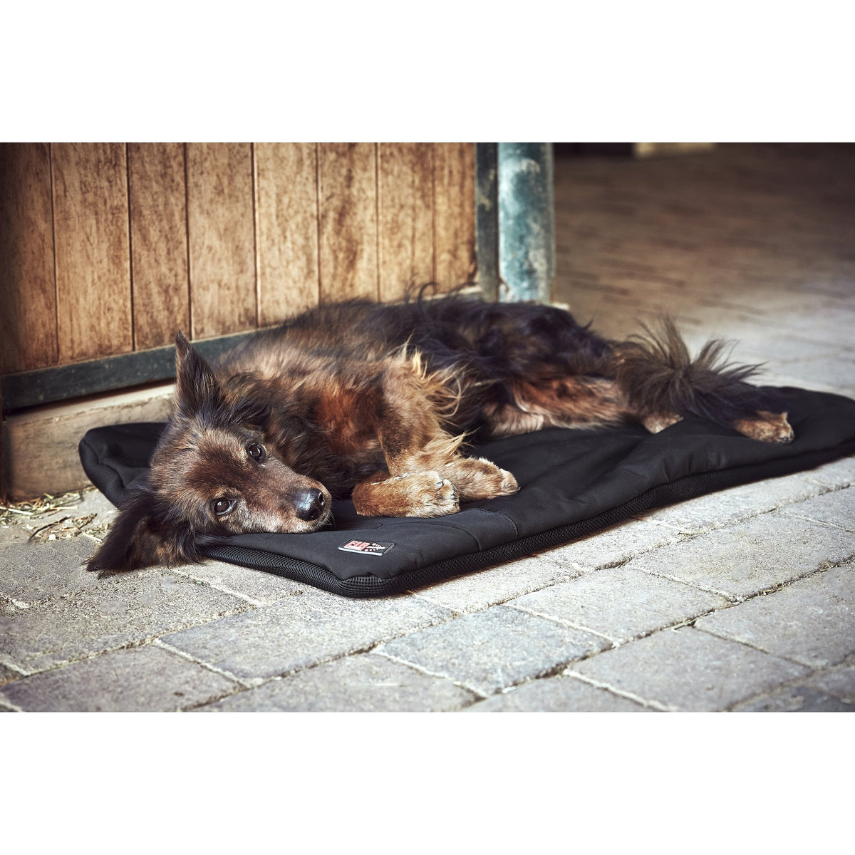 CATAGO FIR-Tech Pro uppvärmd hundkudde