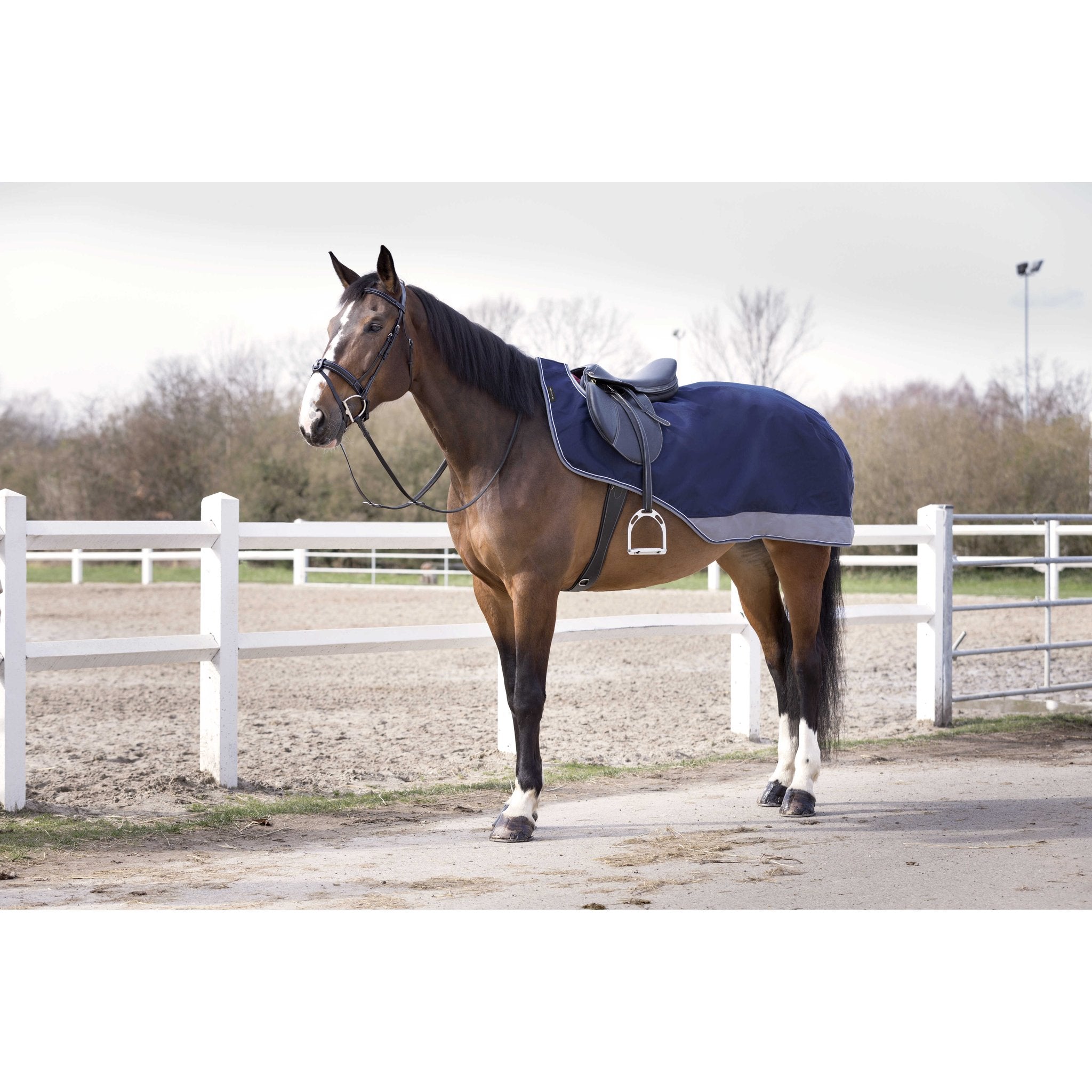 Equithème TYREX 600 D Ländtäcke