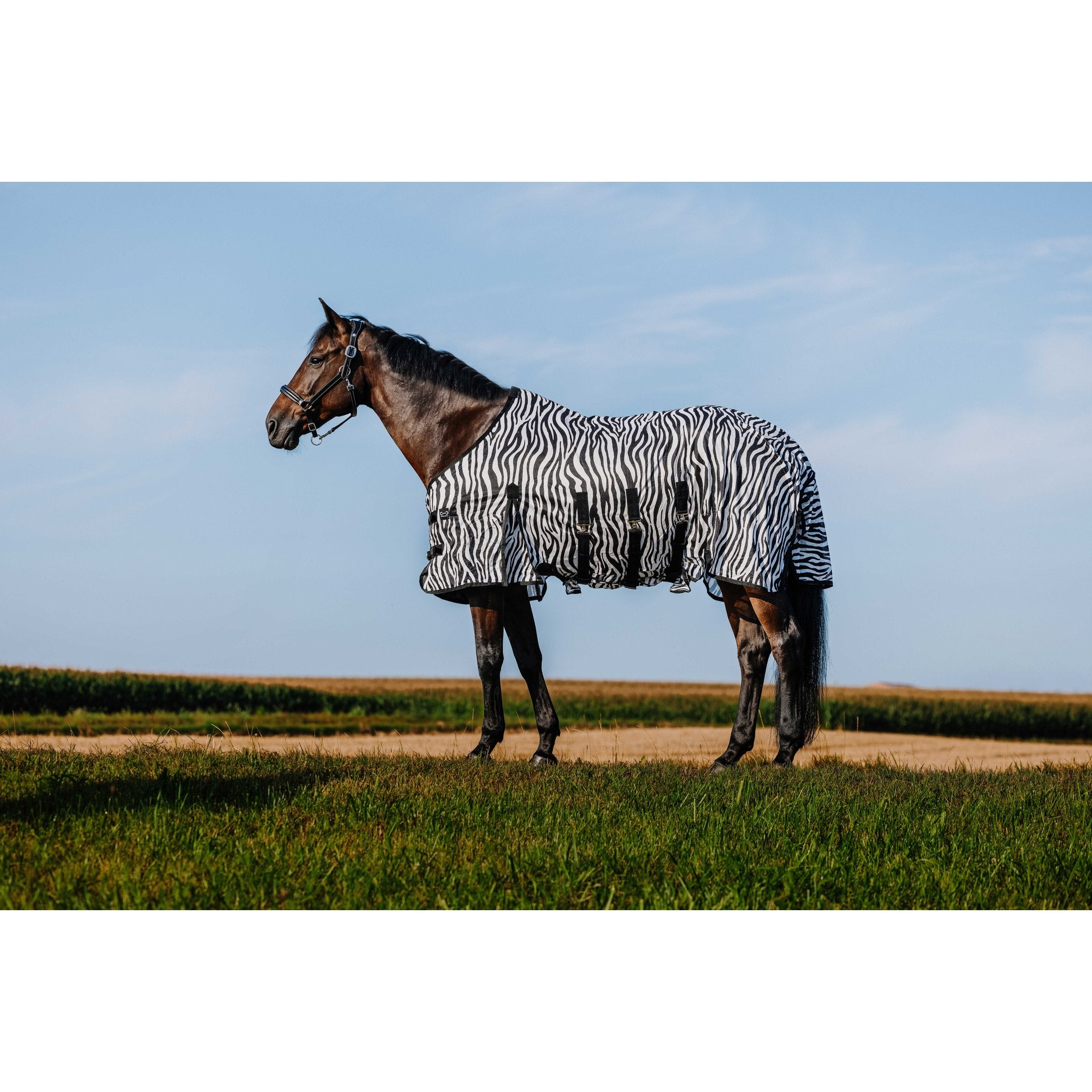 RIDING WORLD Belly Mesh Flugtäcke