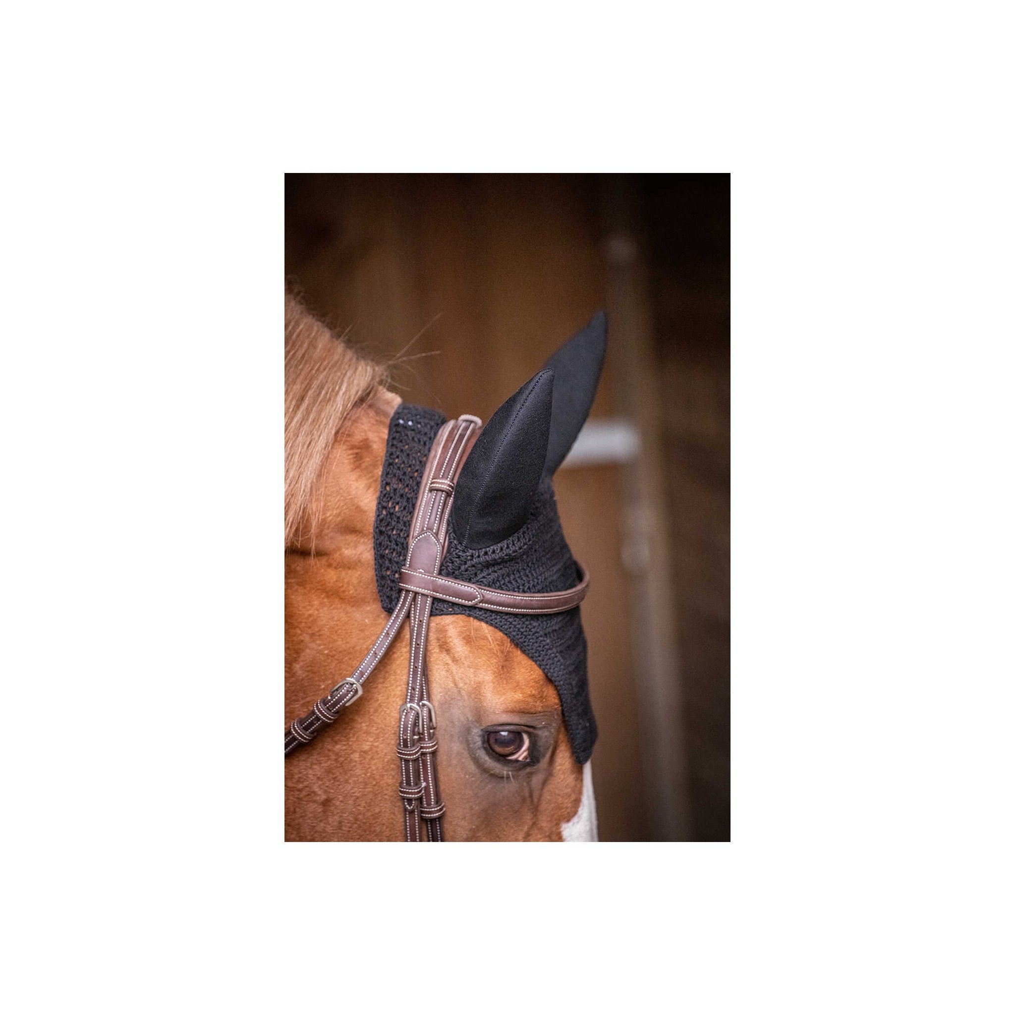 PADDOCK Soundless luva