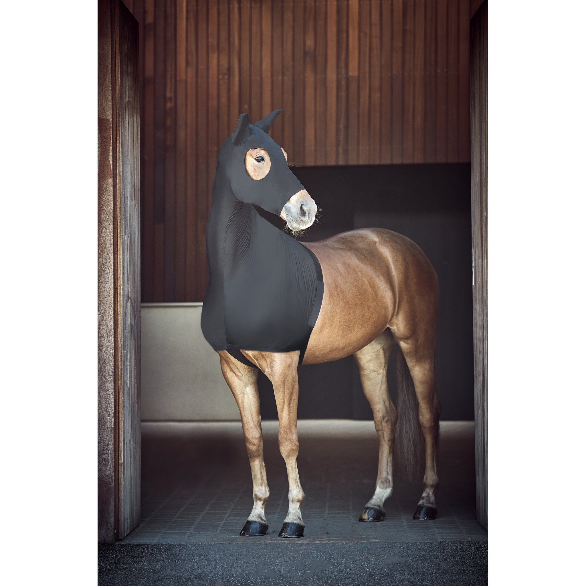 CATAGO FIR-Tech stretch hood