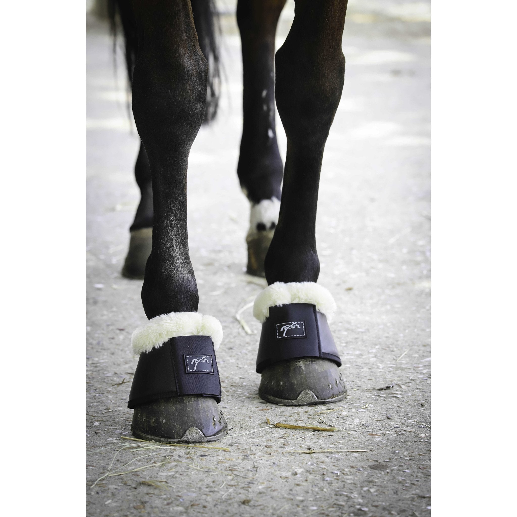 PENELOPE Confort Boots