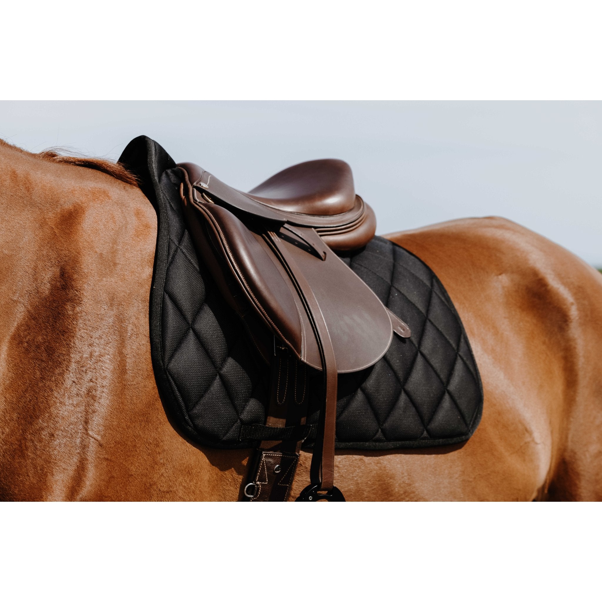 RIDING WORLD School Hoppschabrak