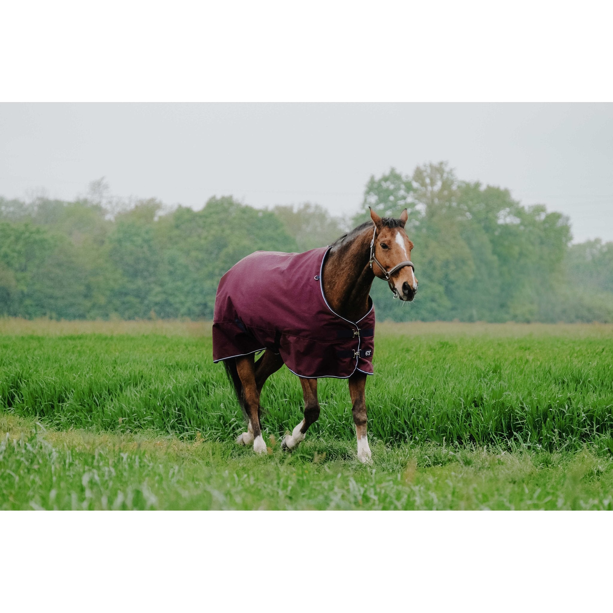 Equithème TYREX 1200D Turnout täcke 150 g