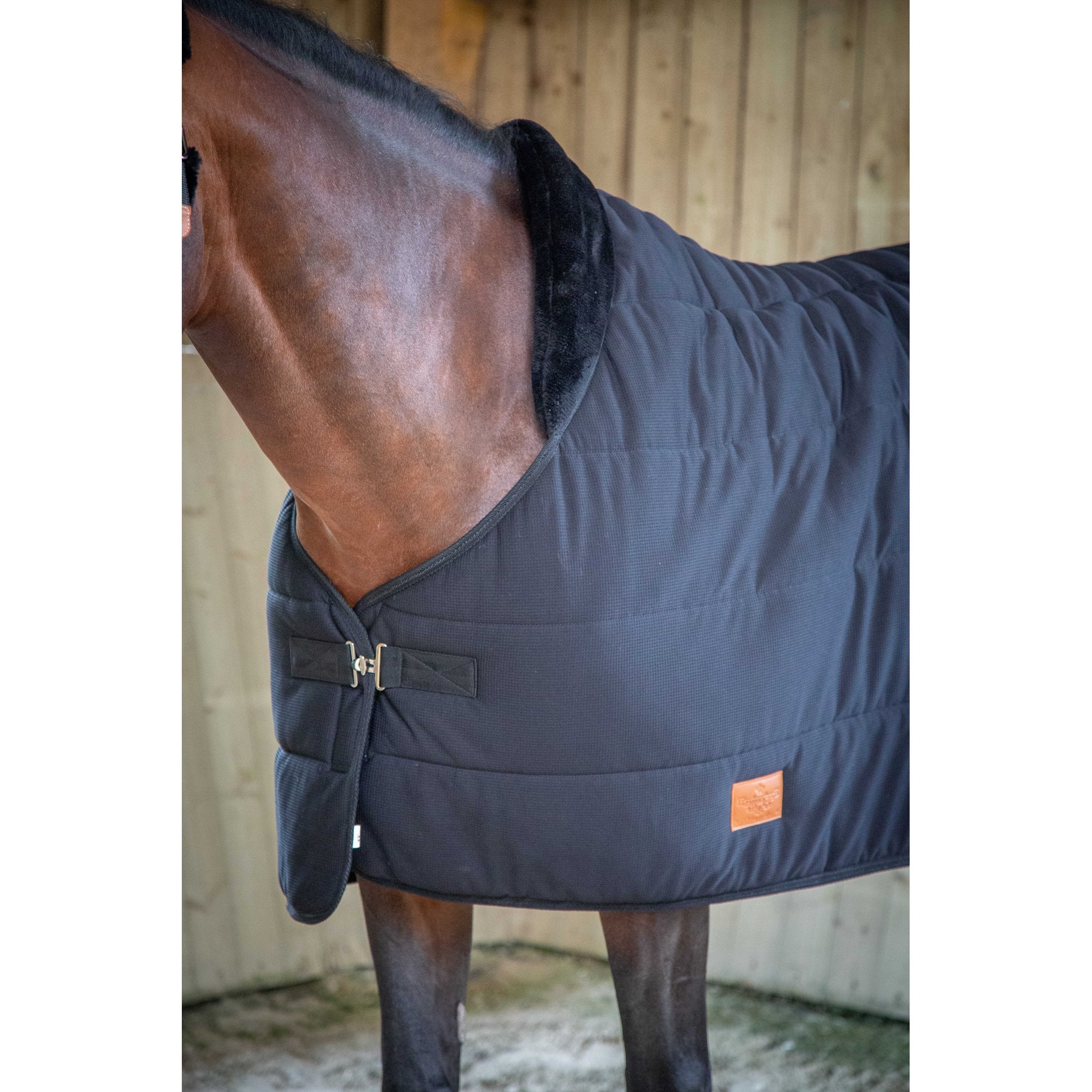 PADDOCK undertäcke 200 g