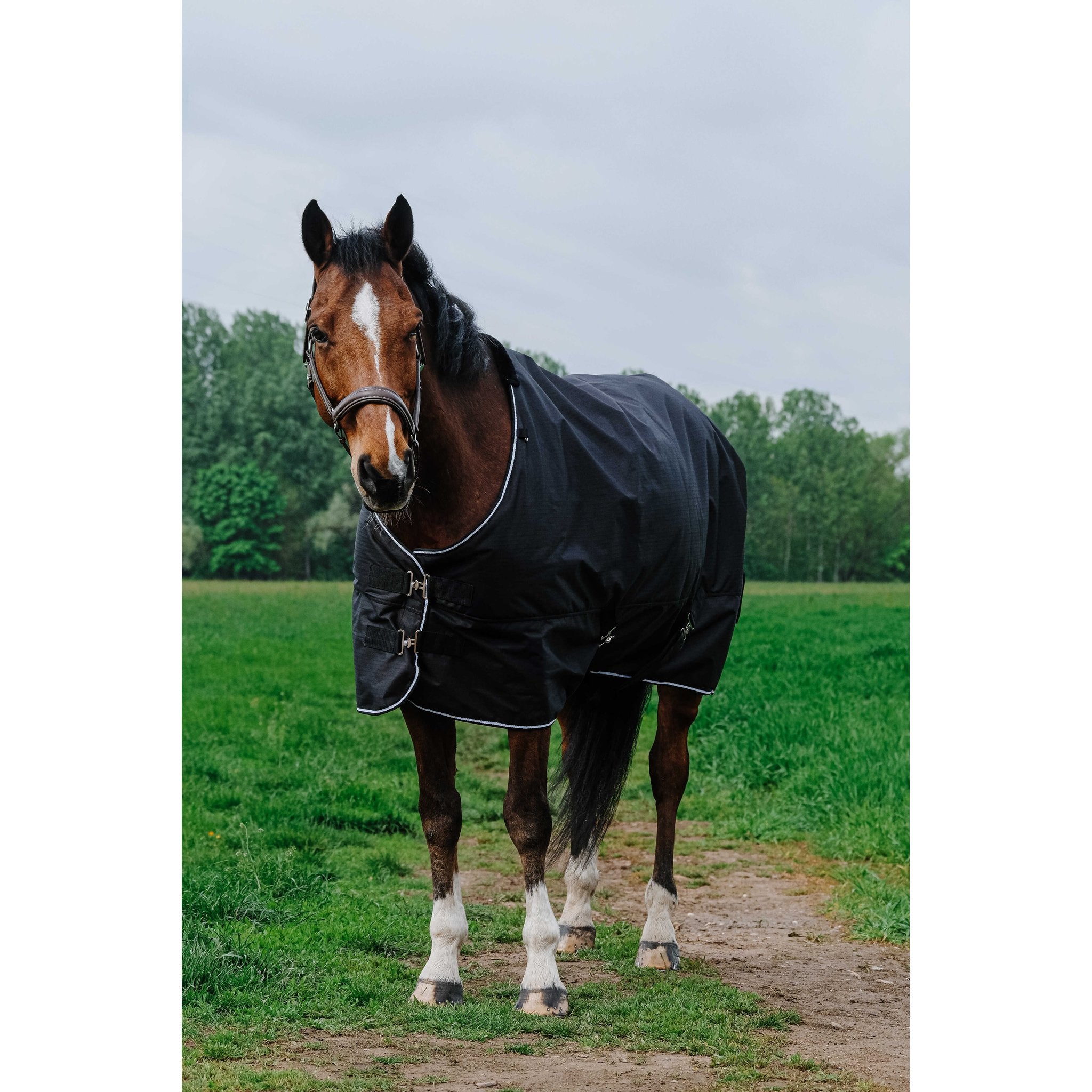 Equithème TYREX 600D Turnout täcke 300 g