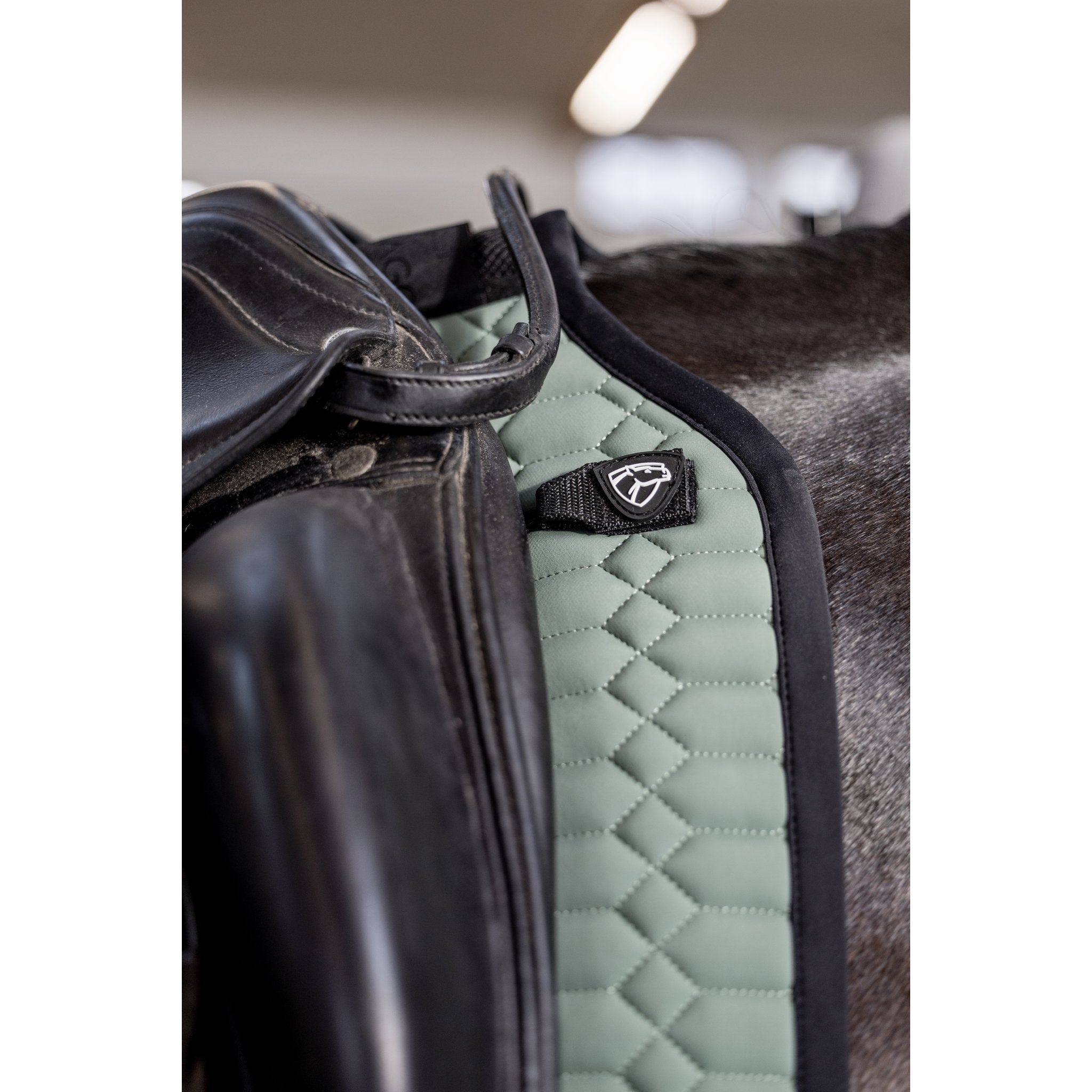CATAGO FIR-Tech Grand schabrak dressyr