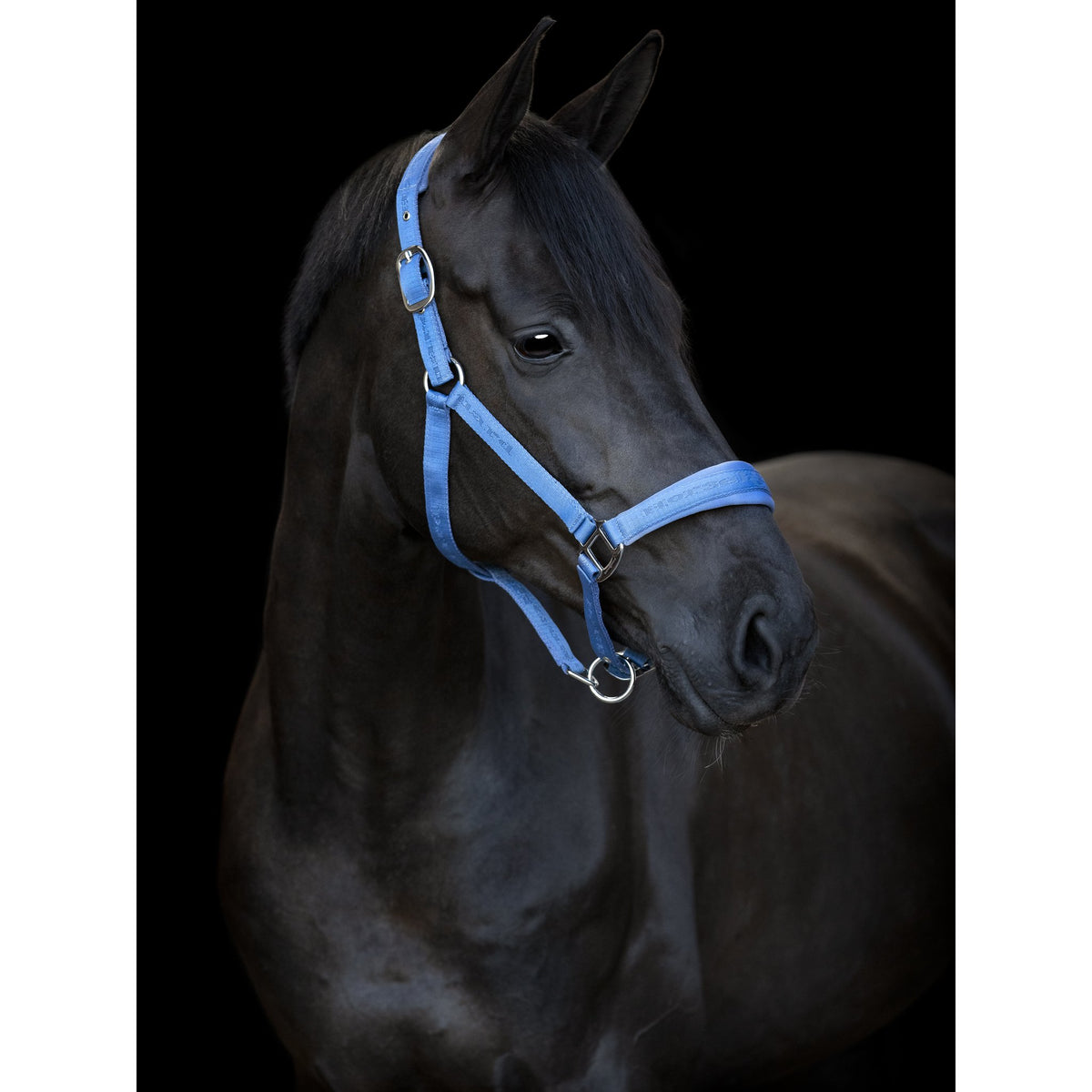 HorseGuard Diya 2.0 grimma
