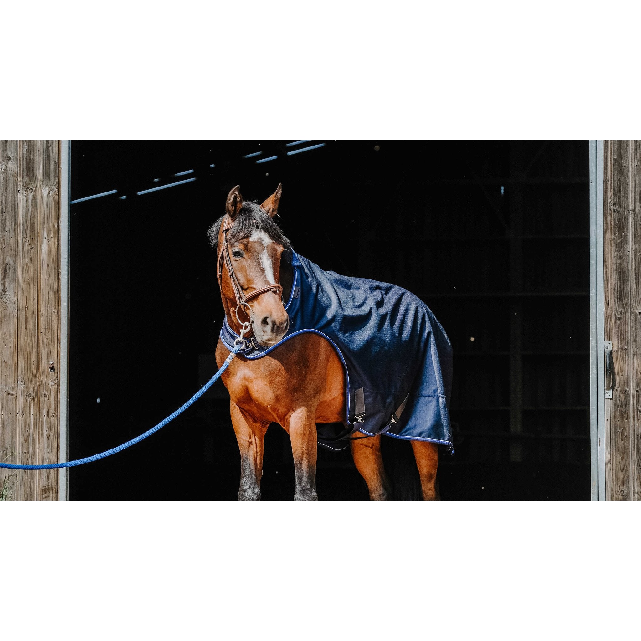Equithème Classic Walkertäcke
