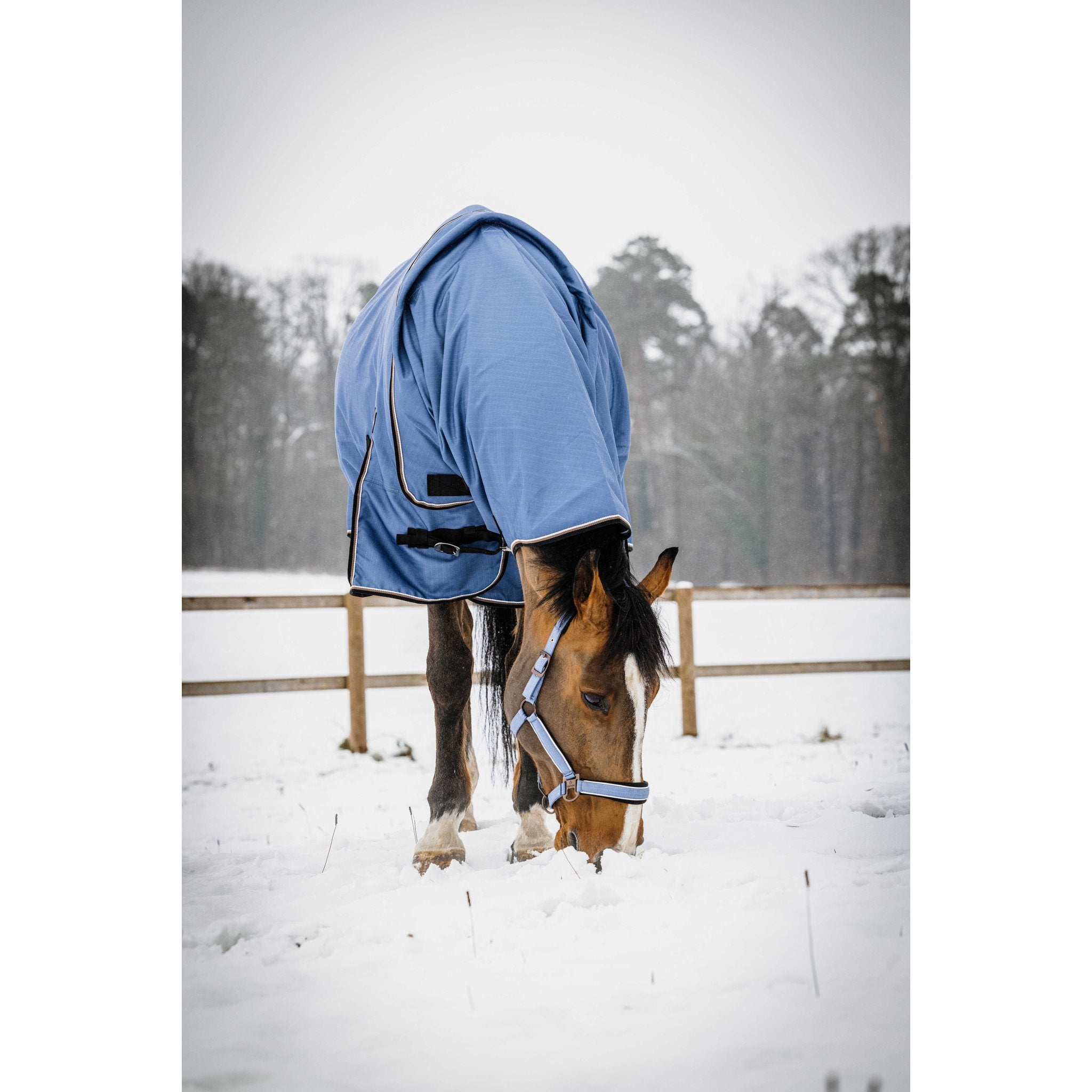 Equitheme Tyrex Aisance halstäcke 1200D