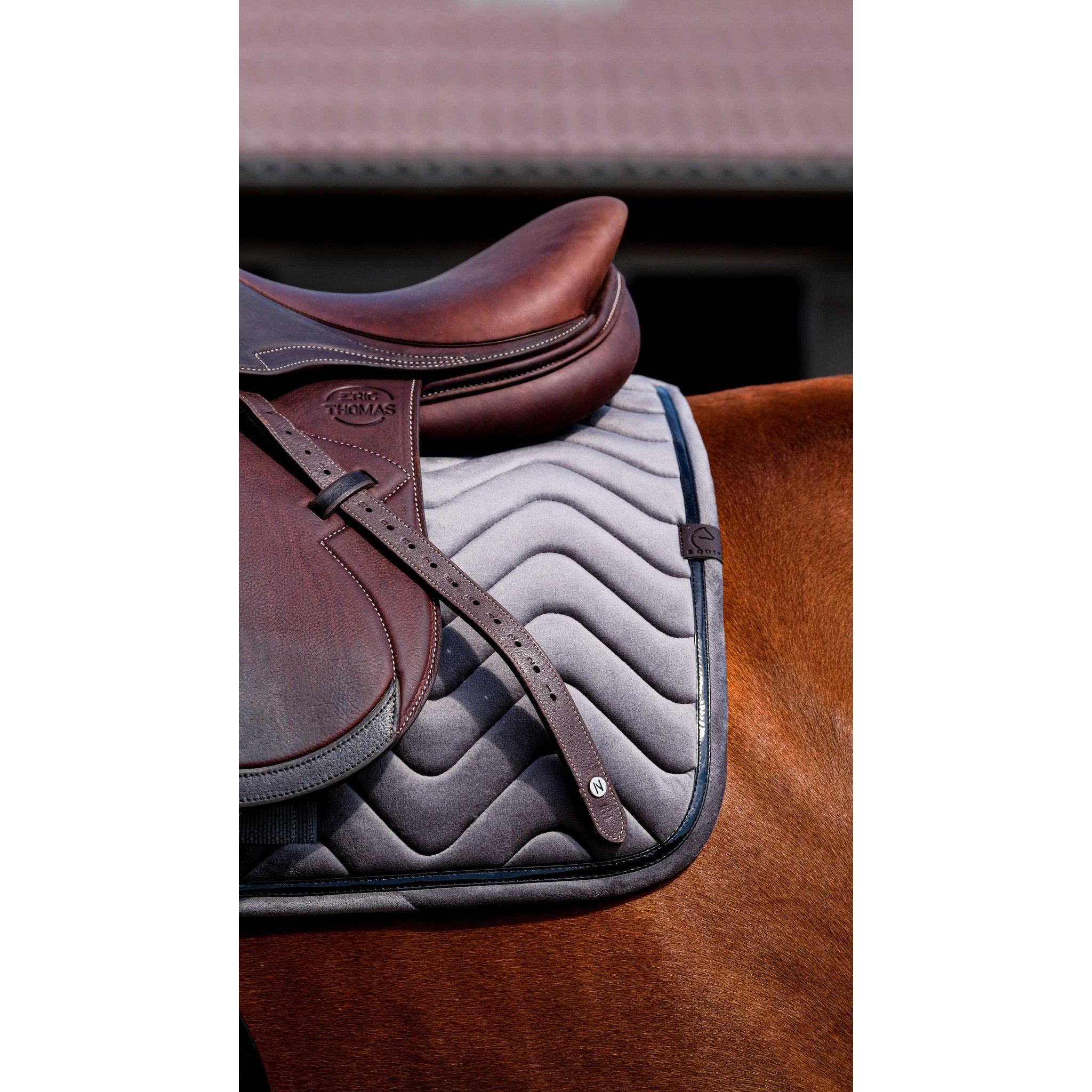 Equithème Glossy Schabrak