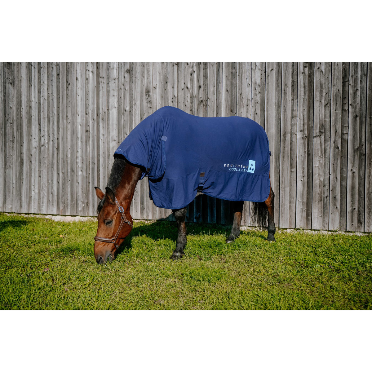 Equitheme Cool&dry Combotäcke