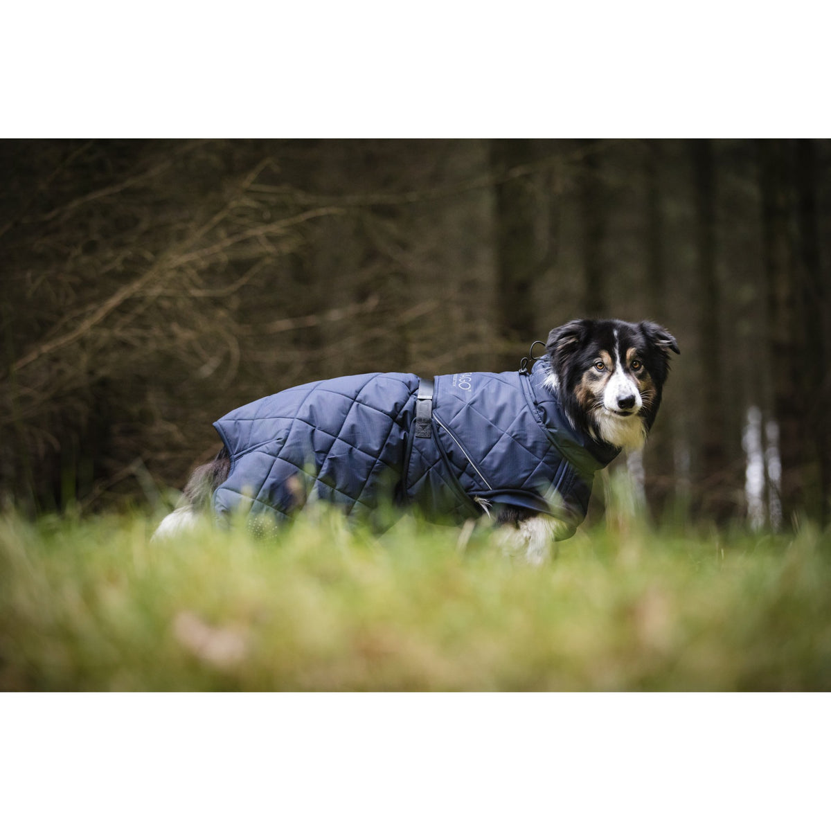 CATAGO Fir-Tech Trainer Dog rug