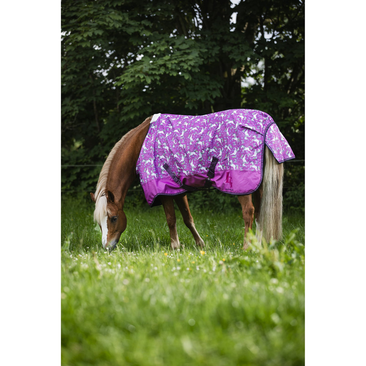 HorseGuard Josh Unicorn Turnout täcke 600D 0g