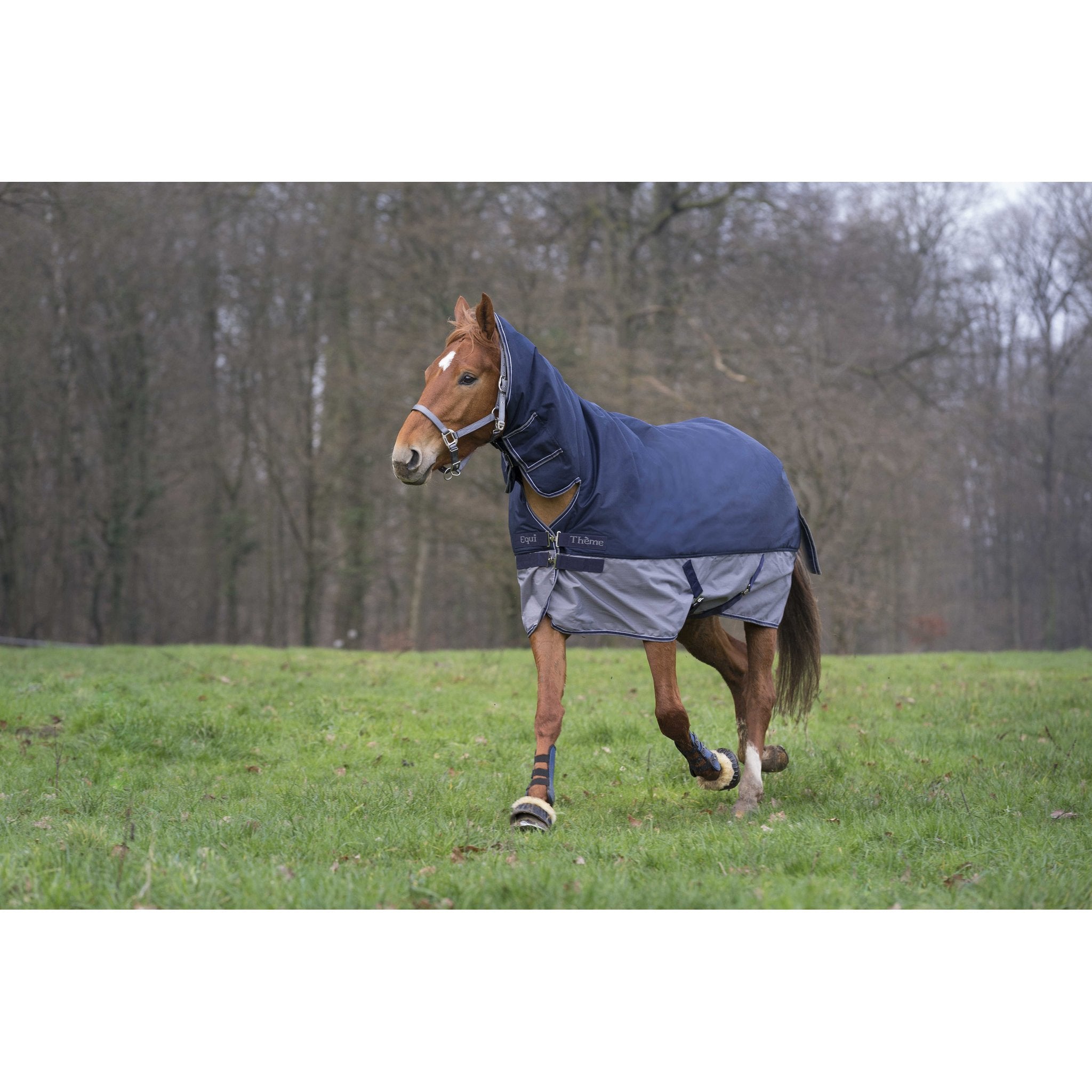Equithème TYREX 600D Combo utetäcke 350 g