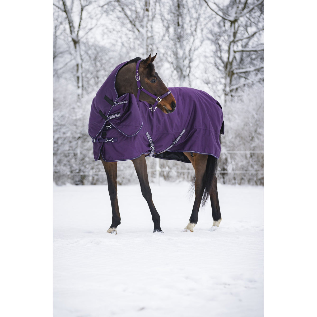Horse Guard Millan 1200D turnout-täcke avtagbar hals 200g