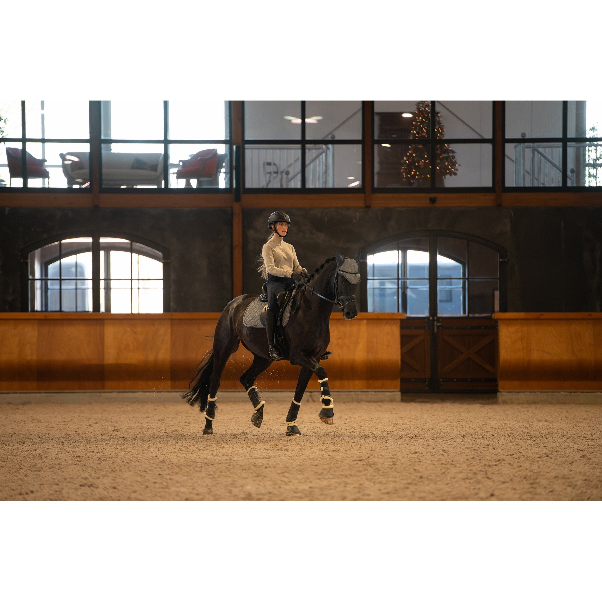 HorseGuard Milva Ridhuva