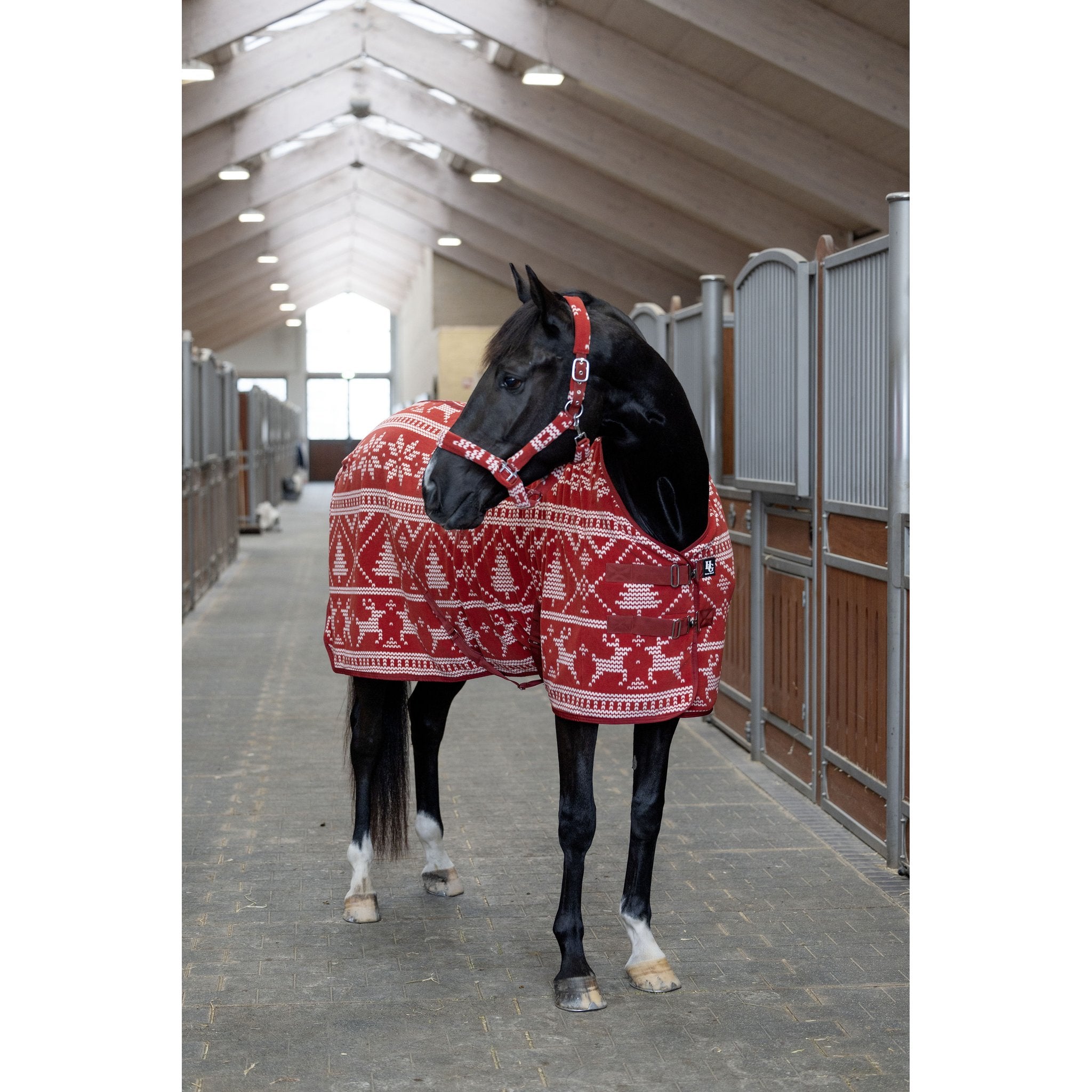 Horse Guard Christmas grimma