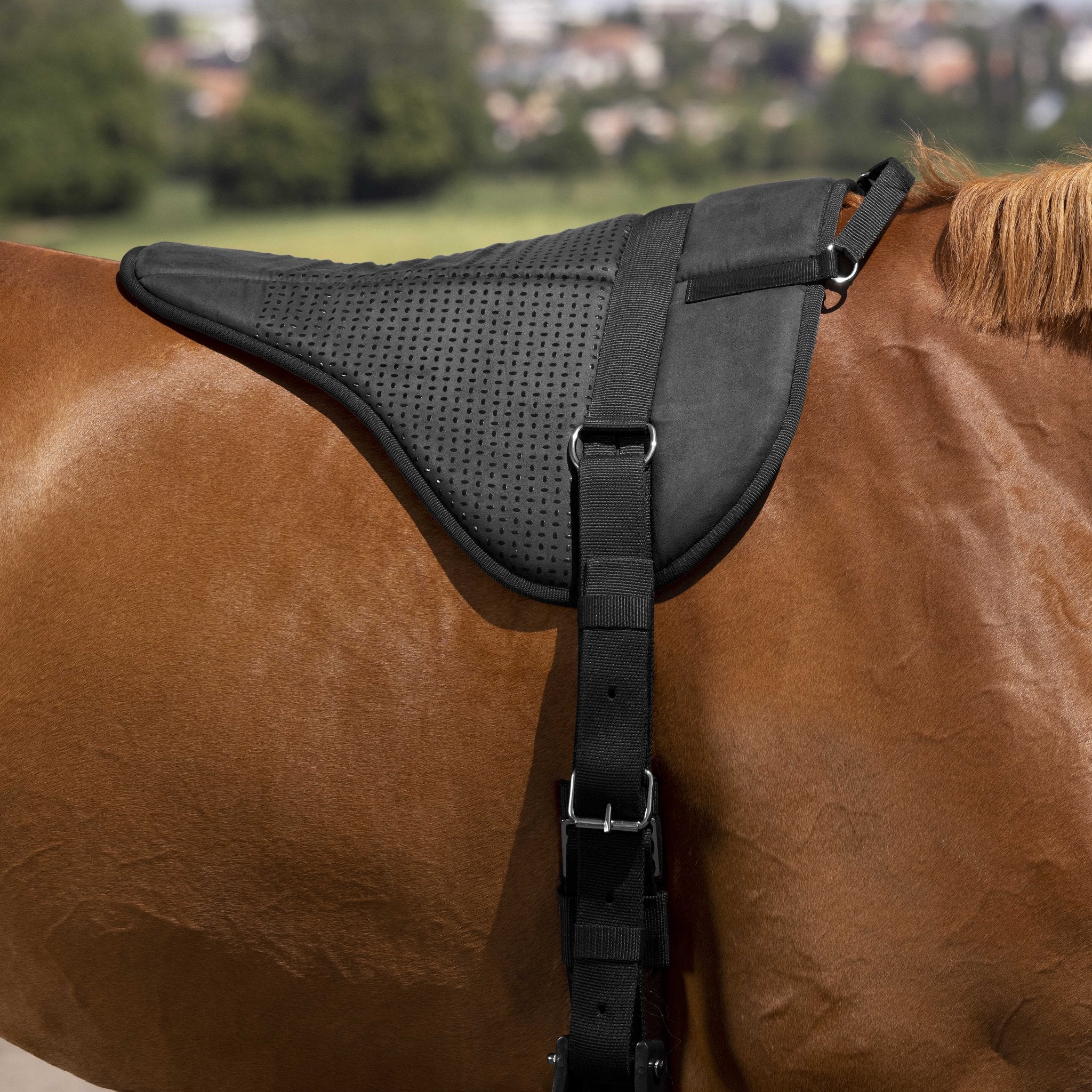 Norton barbackapadd Silicone
