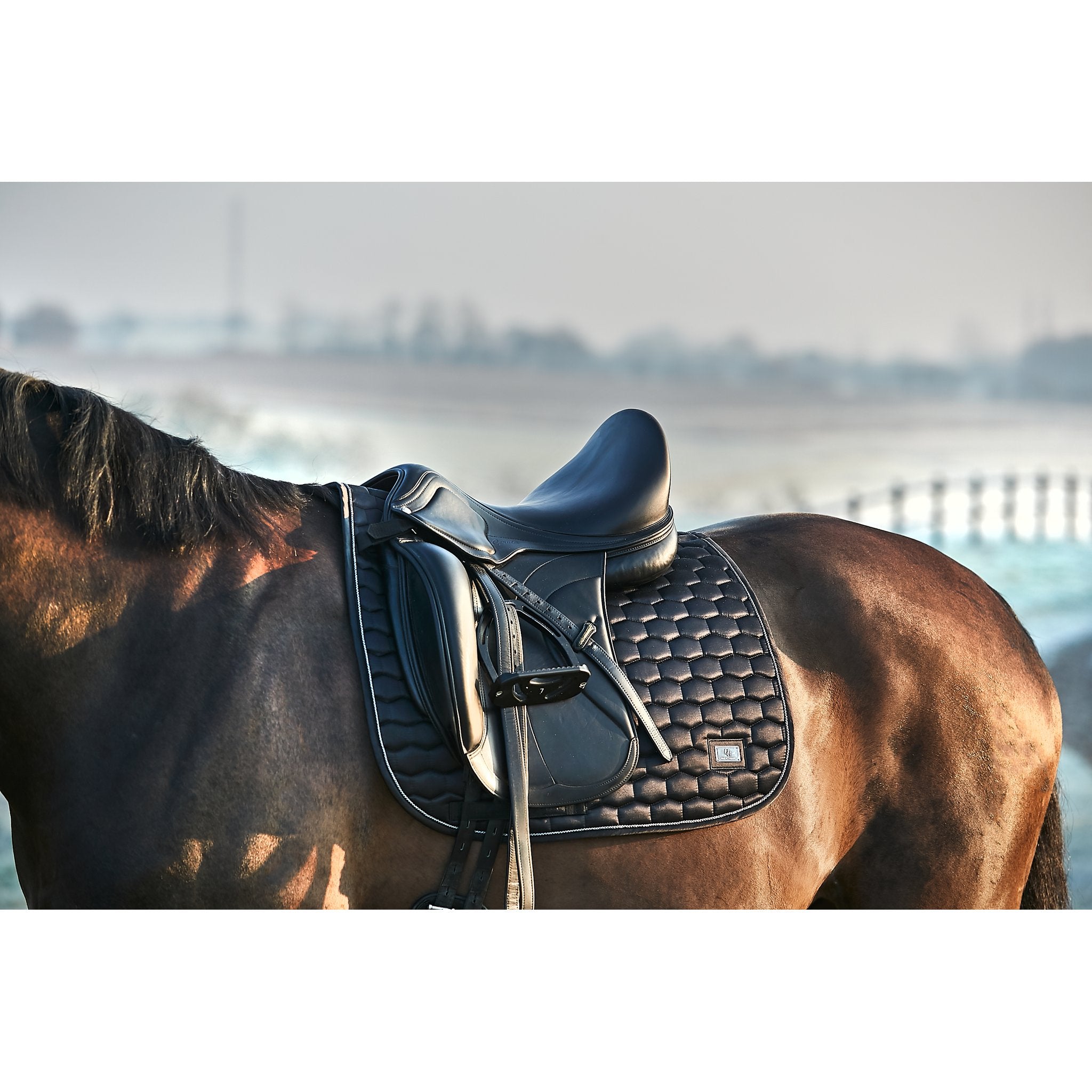 HorseGuard Kora schabrak