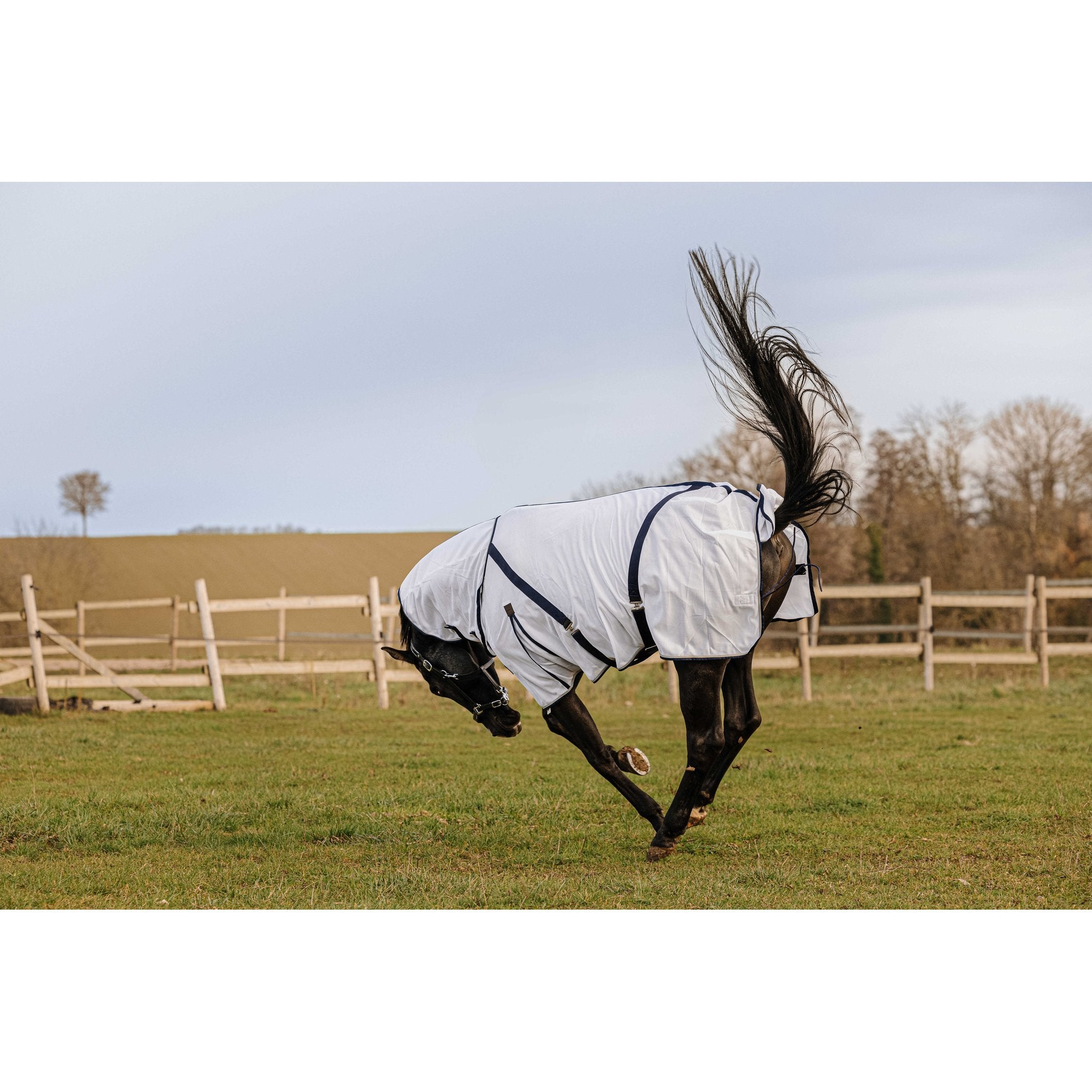 Equithème Mesh Combo Anti insektstäcke