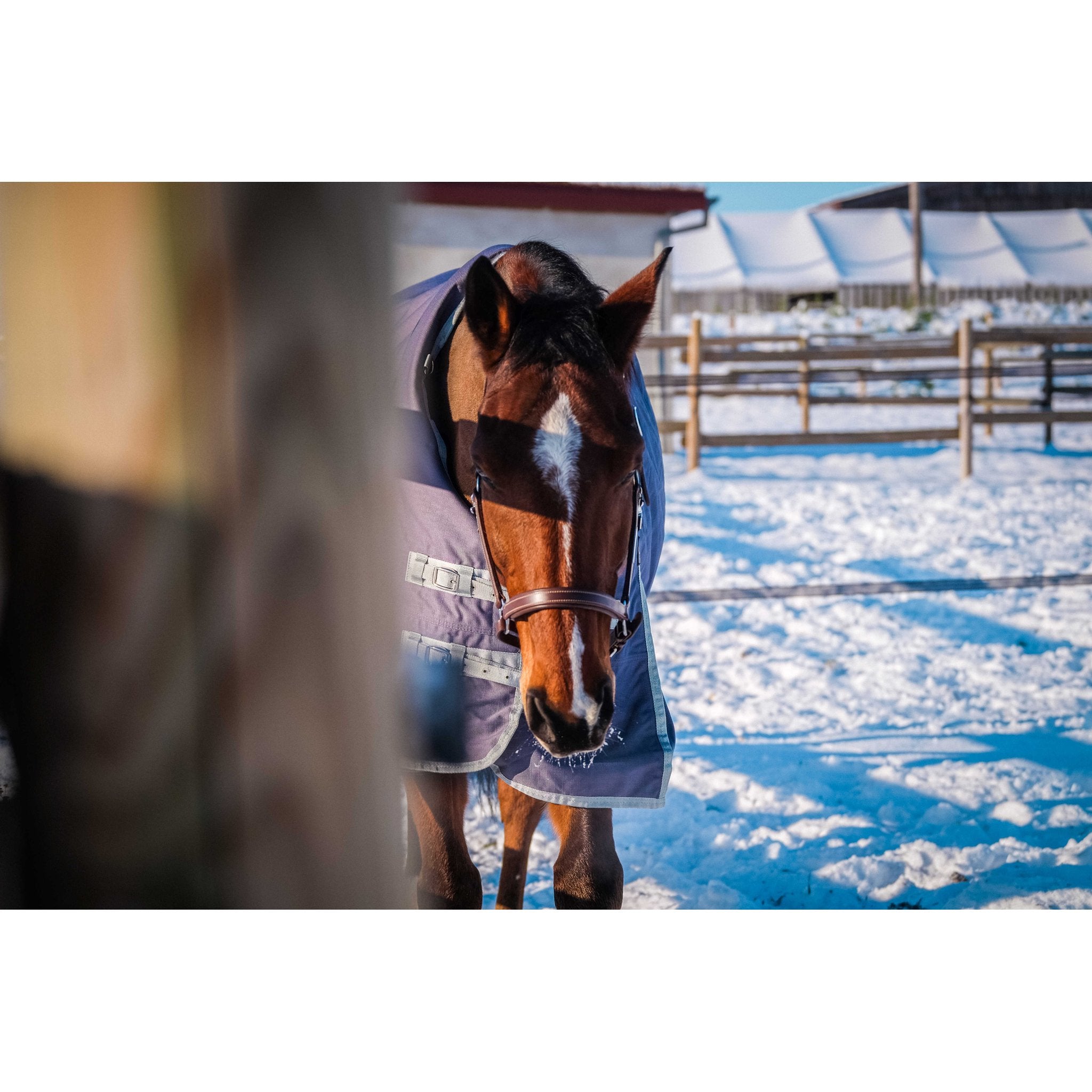 Equithème TYREX 1200D Återvunnet Turnout täcke 150 g