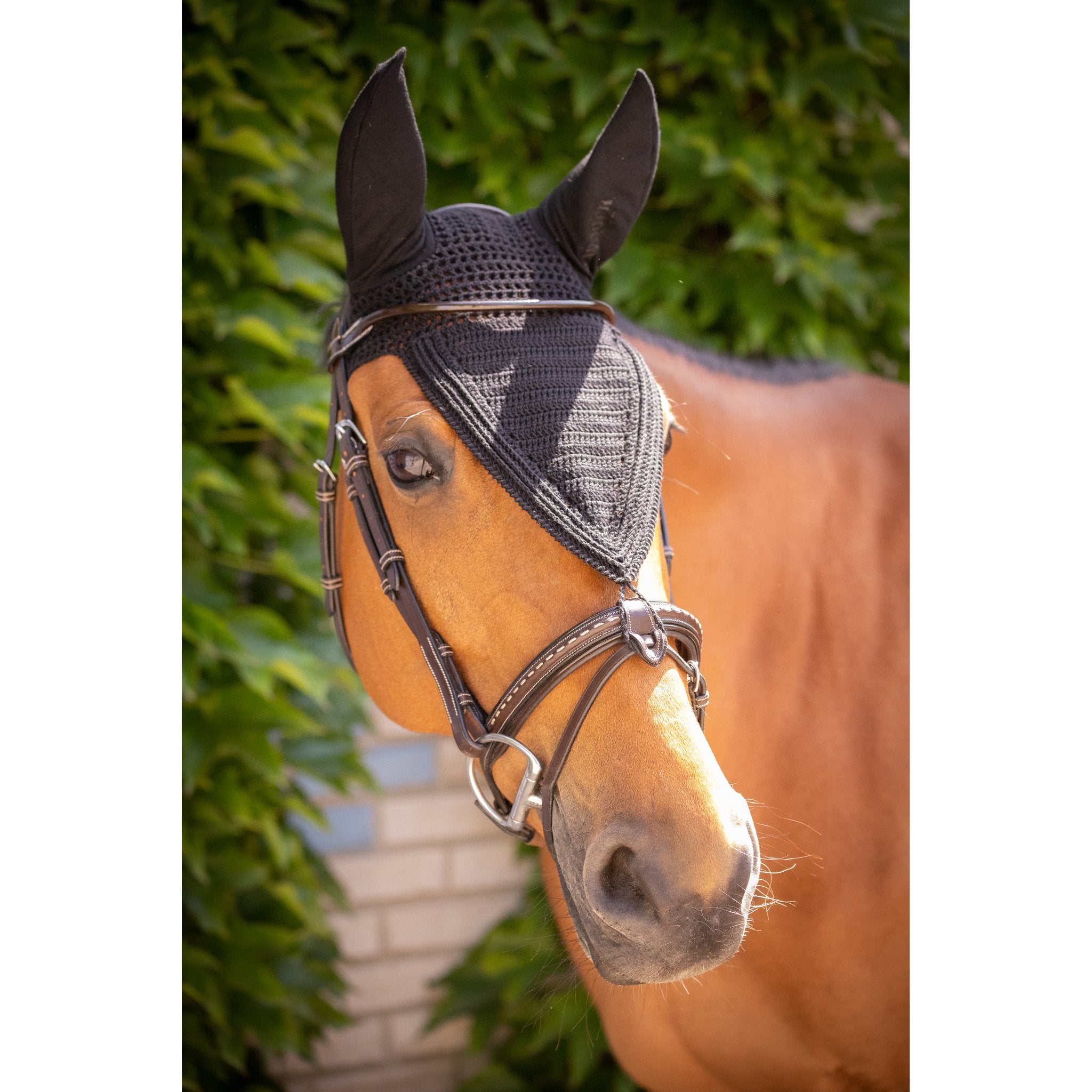 PADDOCK Pro coton luva lång