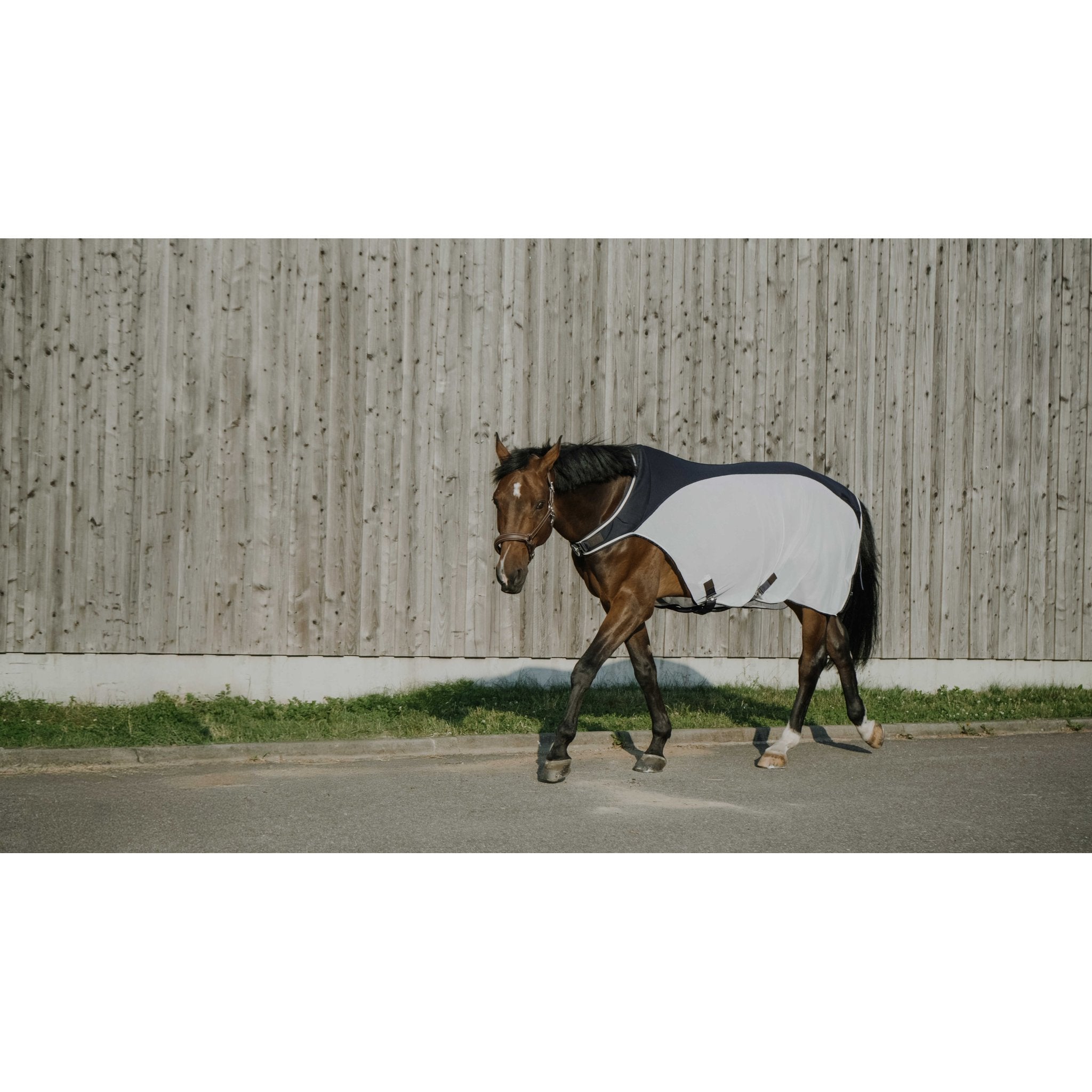 Equitheme Flycool Skrittmaskinstäcke