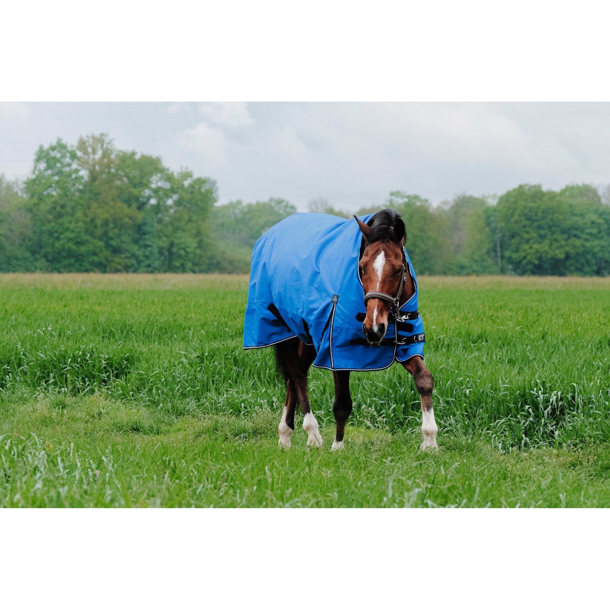 Equithème TYREX Aisance 1200D hög hals täcke 150 g