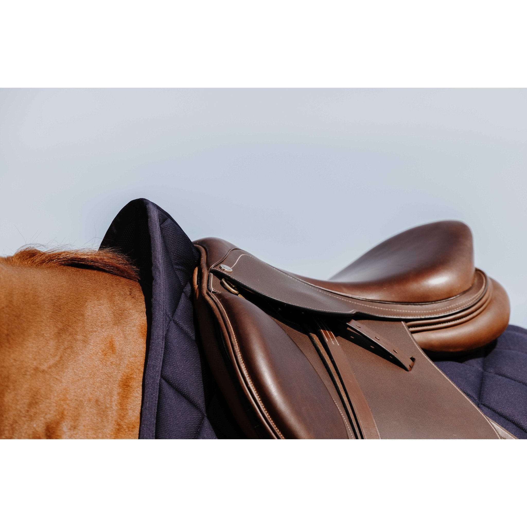 RIDING WORLD School Hoppschabrak