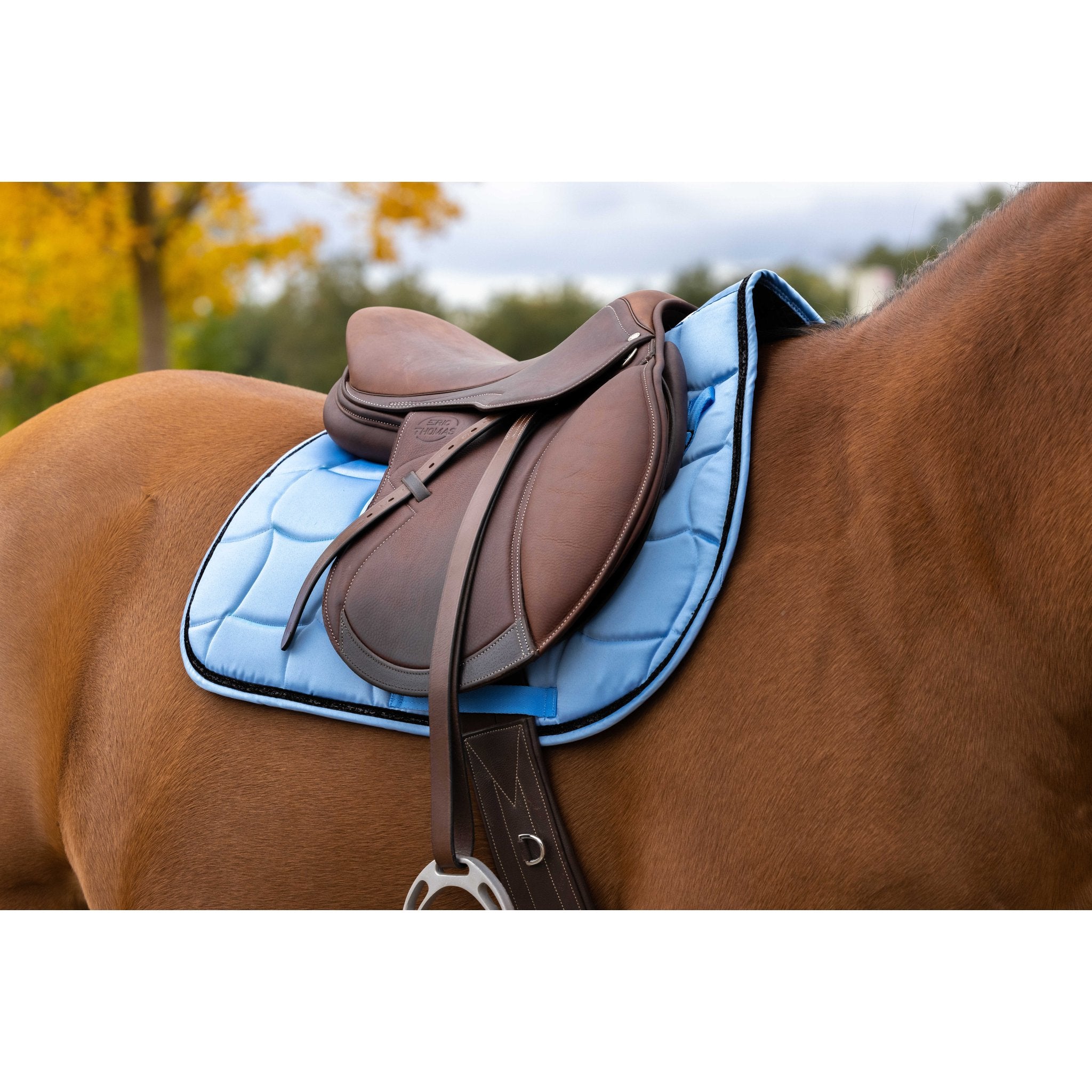 Equithème Satin Schabrak