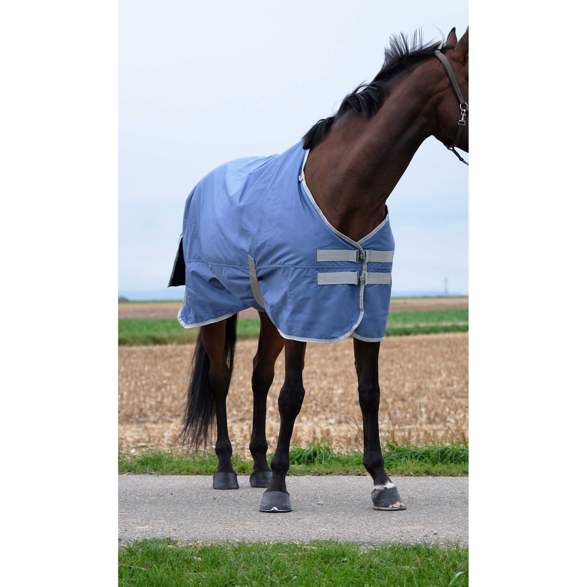 Equithème TYREX 600D återvunnet utetäcke 300 g