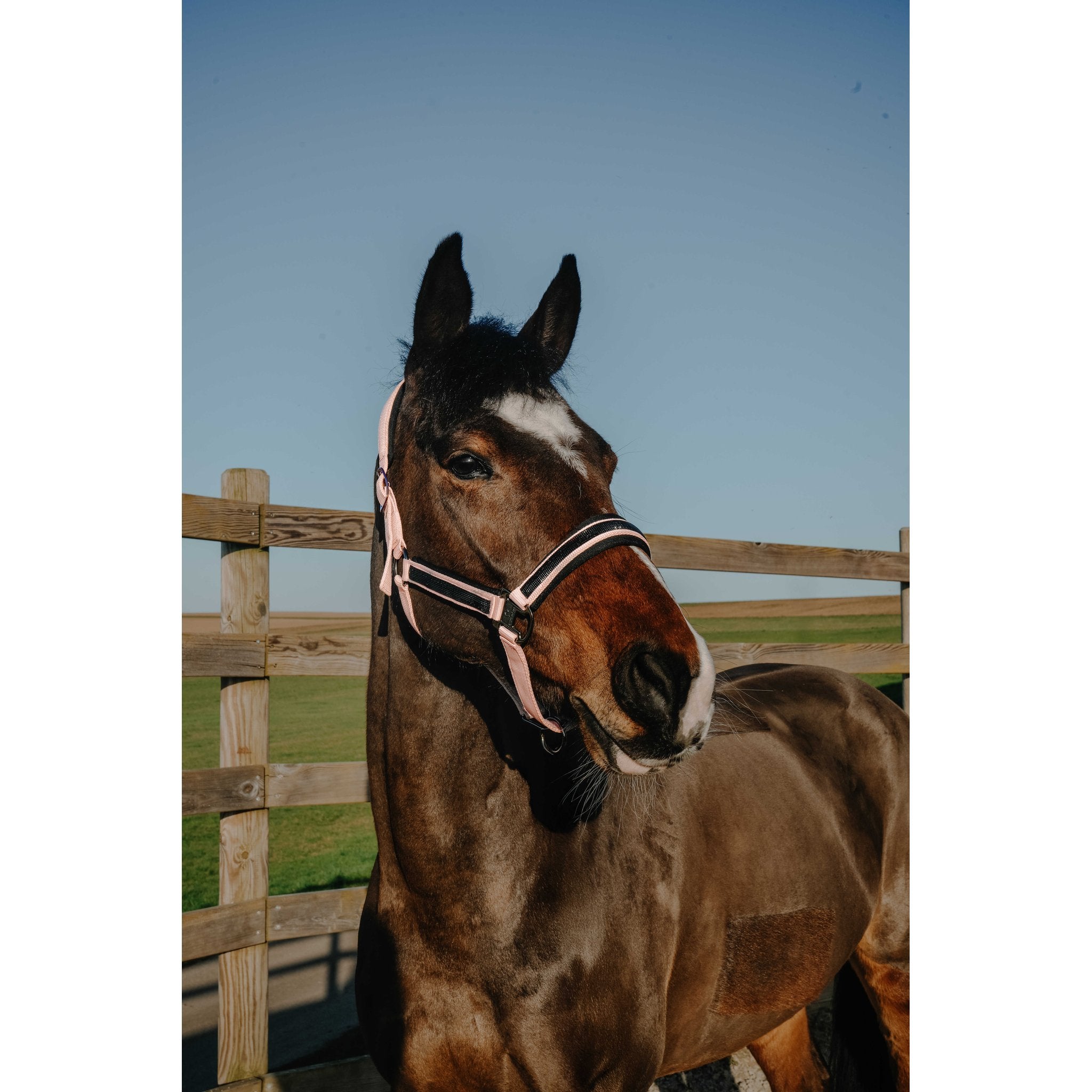 Equitheme Strass grimma