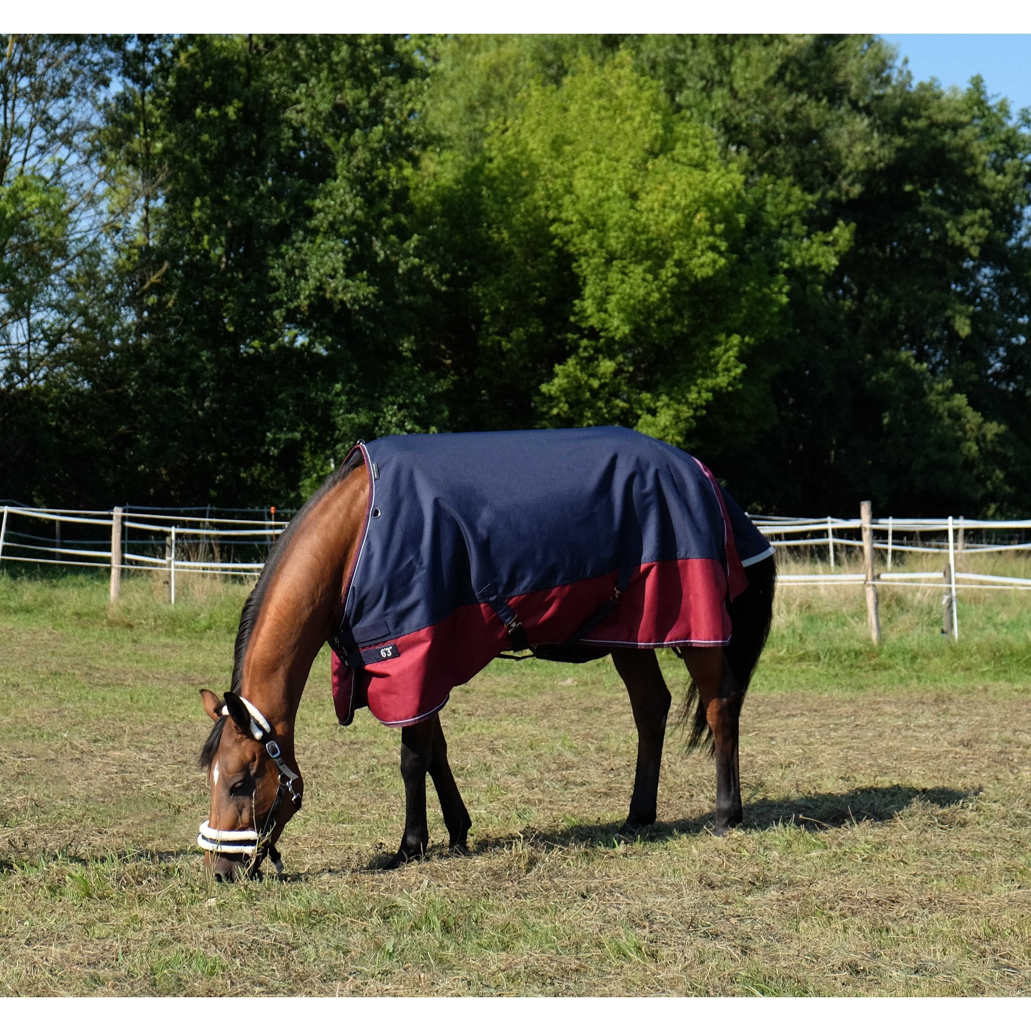 Equithème TYREX 1200D Turnout täcke 450 g