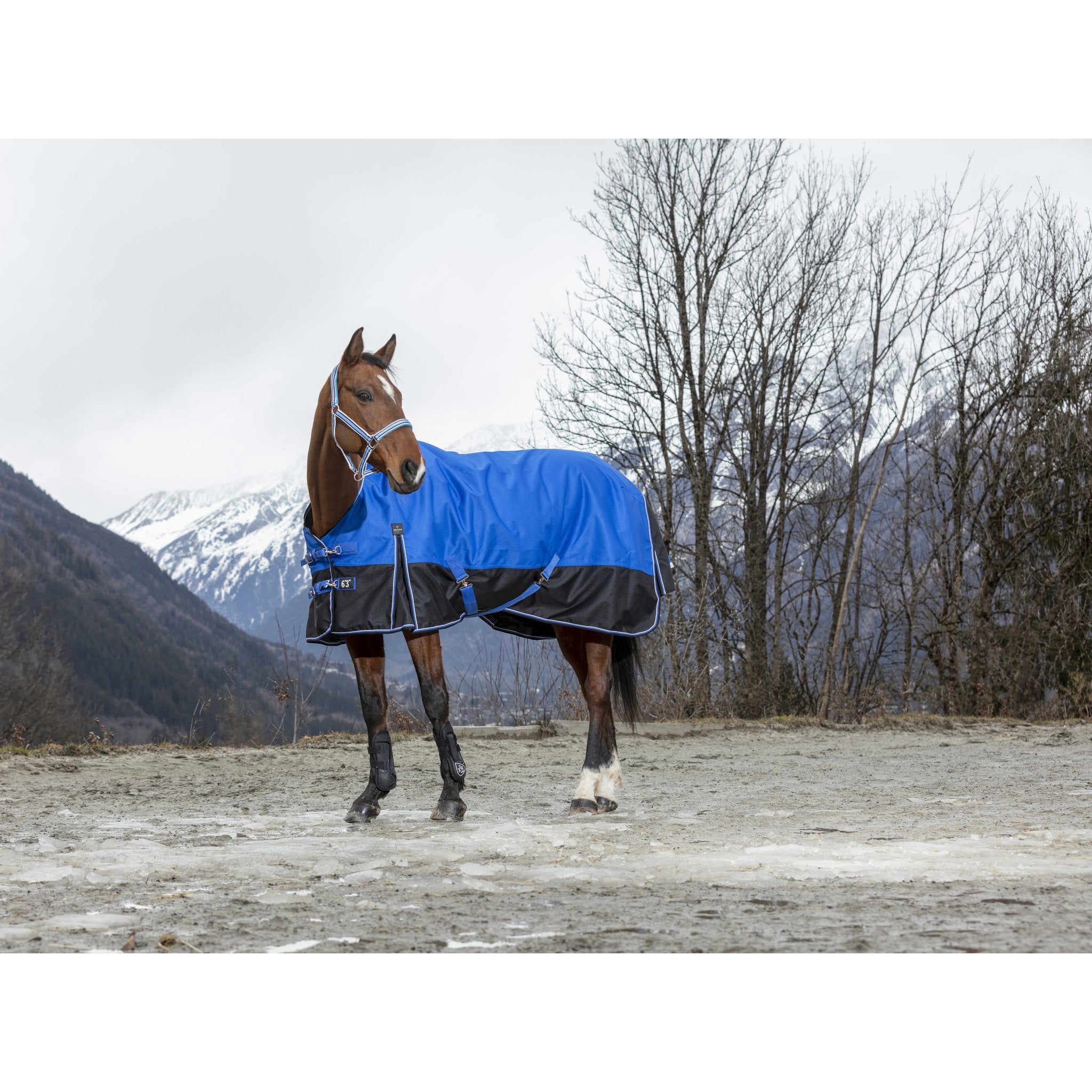 Equithème TYREX Aisance 1200D hög hals täcke 300 g