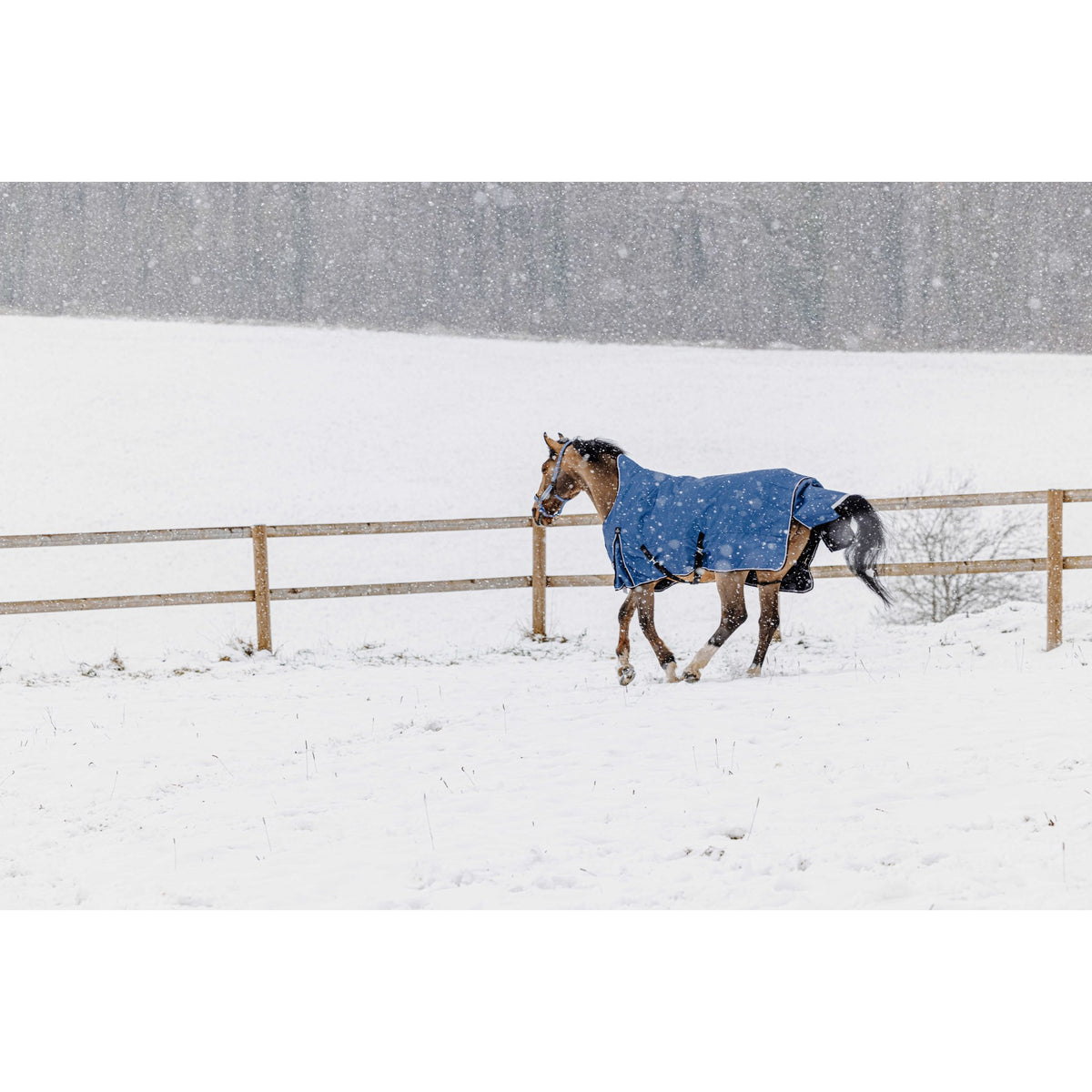 Equitheme Tyrex Aisance high neck, 300 g