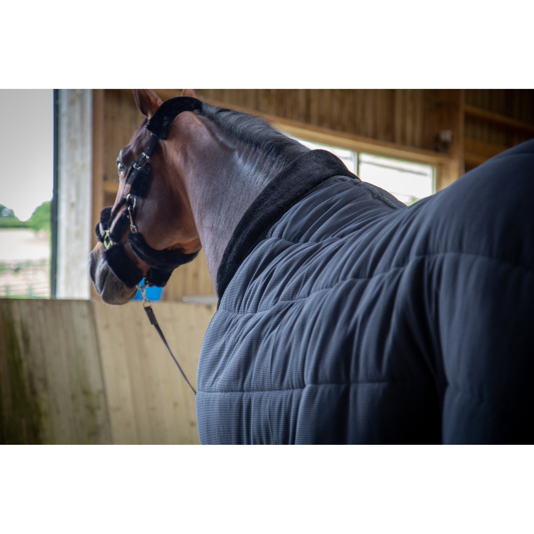PADDOCK undertäcke 200 g