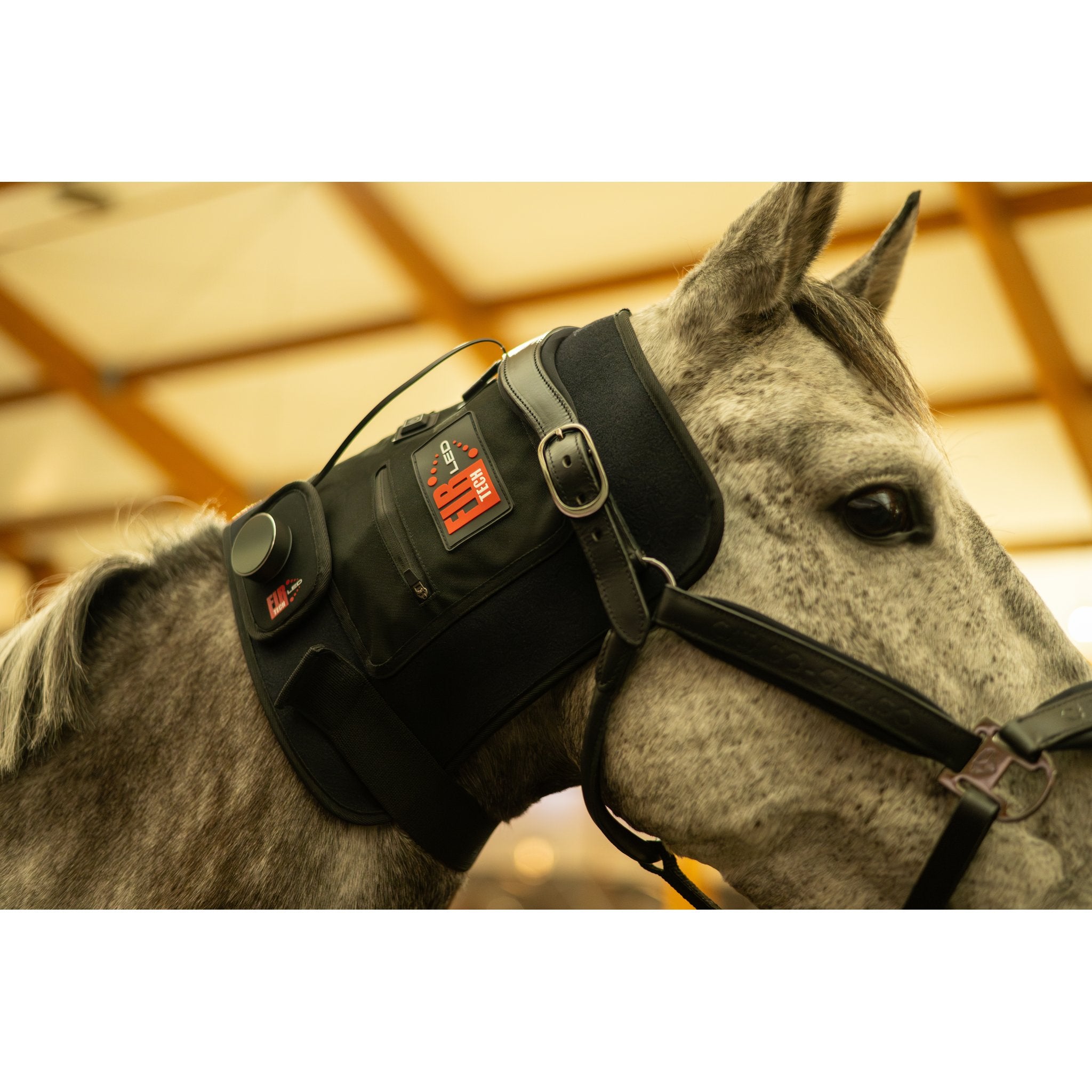 CATAGO FIR-Tech LED Therapy Pad