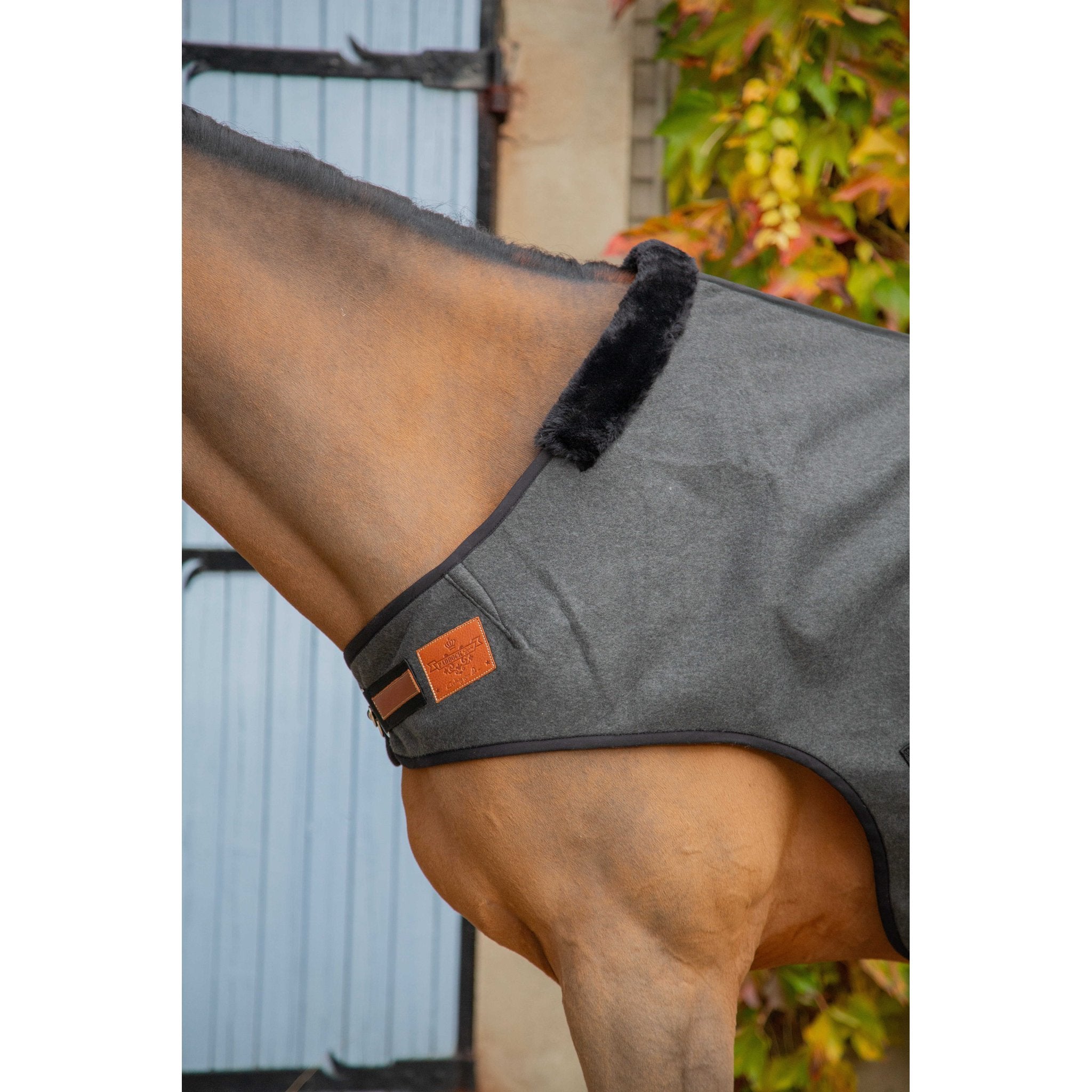 PADDOCK Woolt skrittmaskinstäcke