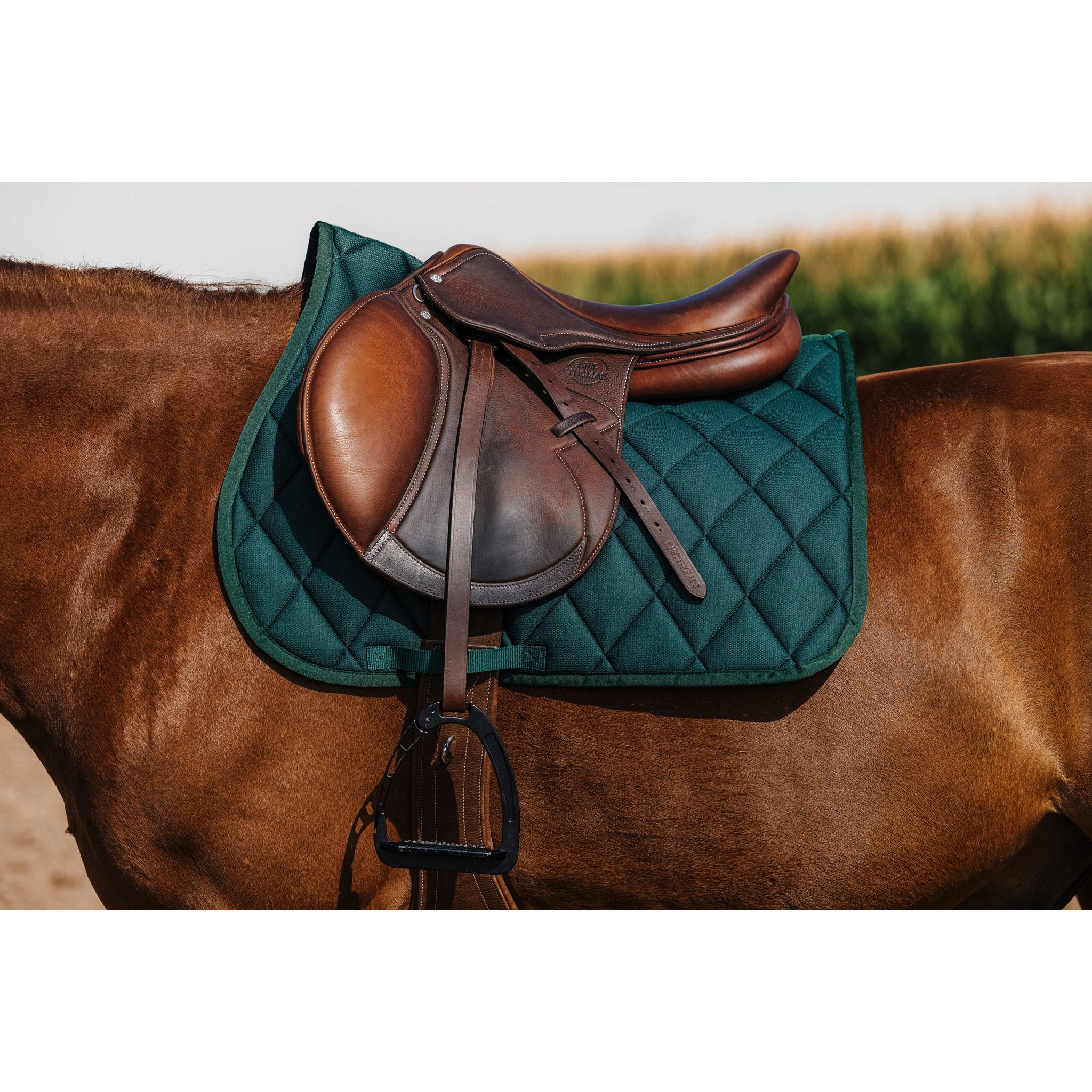 RIDING WORLD School Hoppschabrak