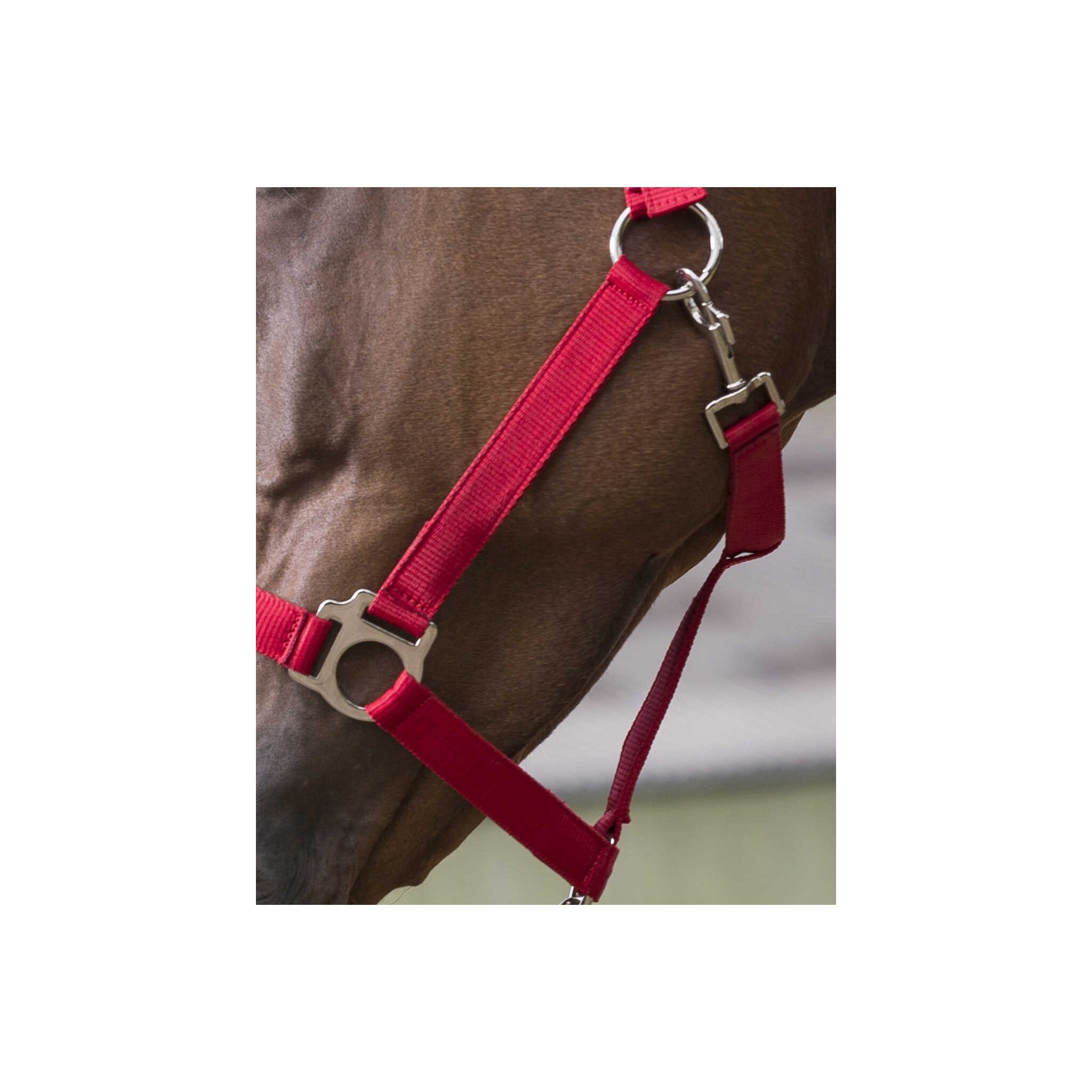 Riding World set grimma + grimskaft
