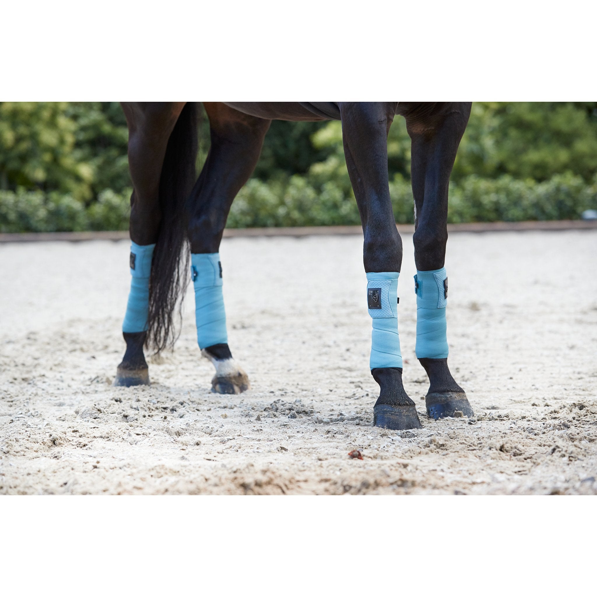 CATAGO fleece/FIR lindor