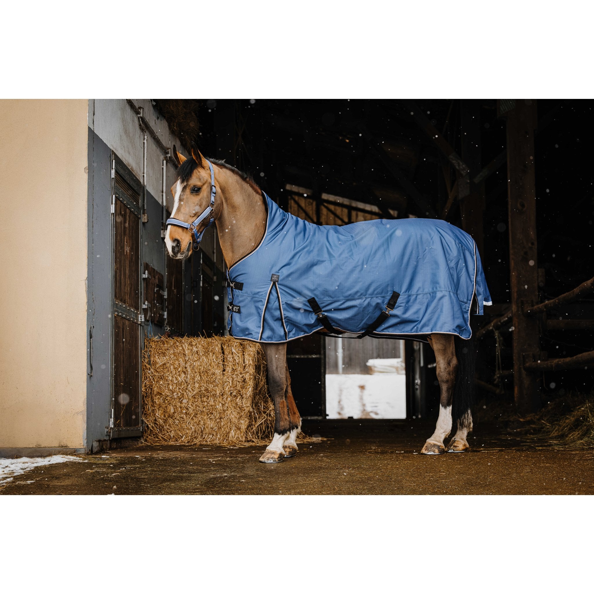 Equitheme Cobalt High neck Freedom of movement