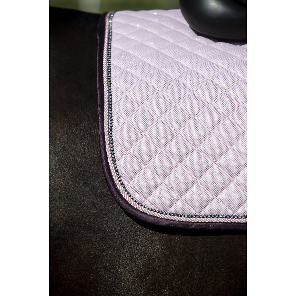 HorseGuard Milva Schabrak