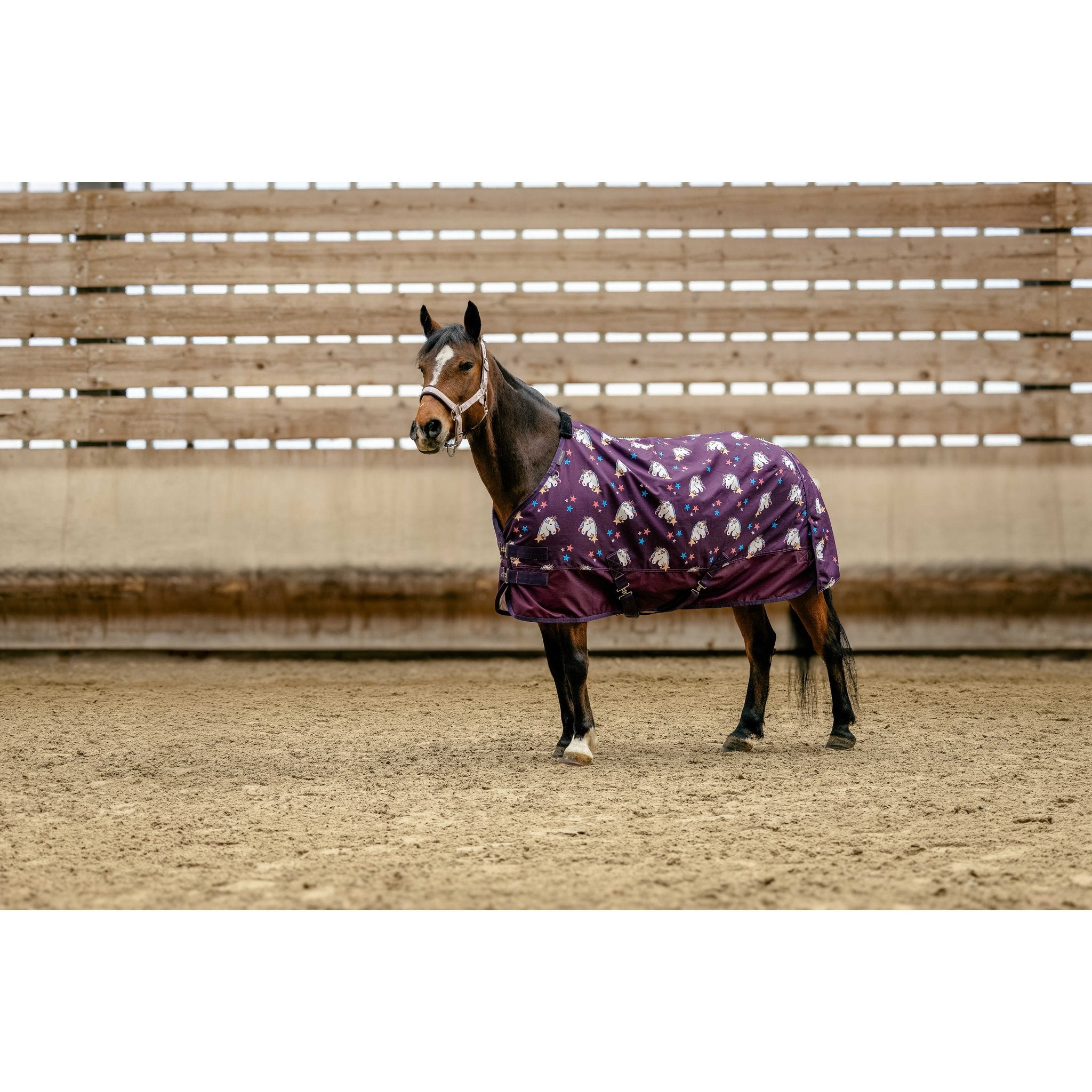 Equitheme Licorne 600D Utetäcke 220g