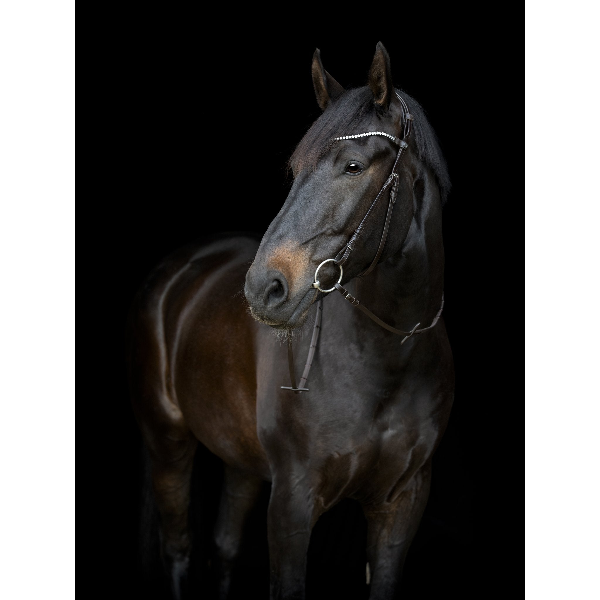CATAGO Gentle käkrem med spännen