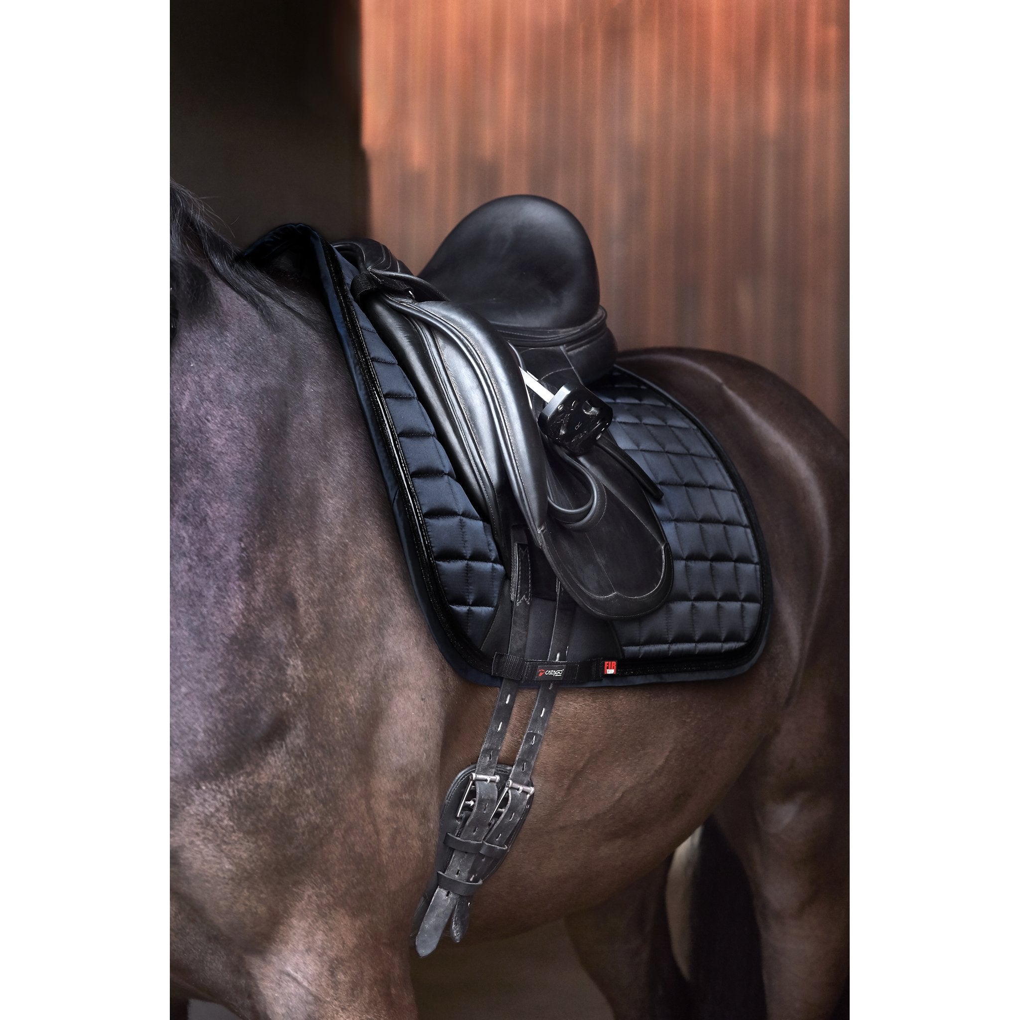 CATAGO FIR-Tech Elegant schabrak dressyr