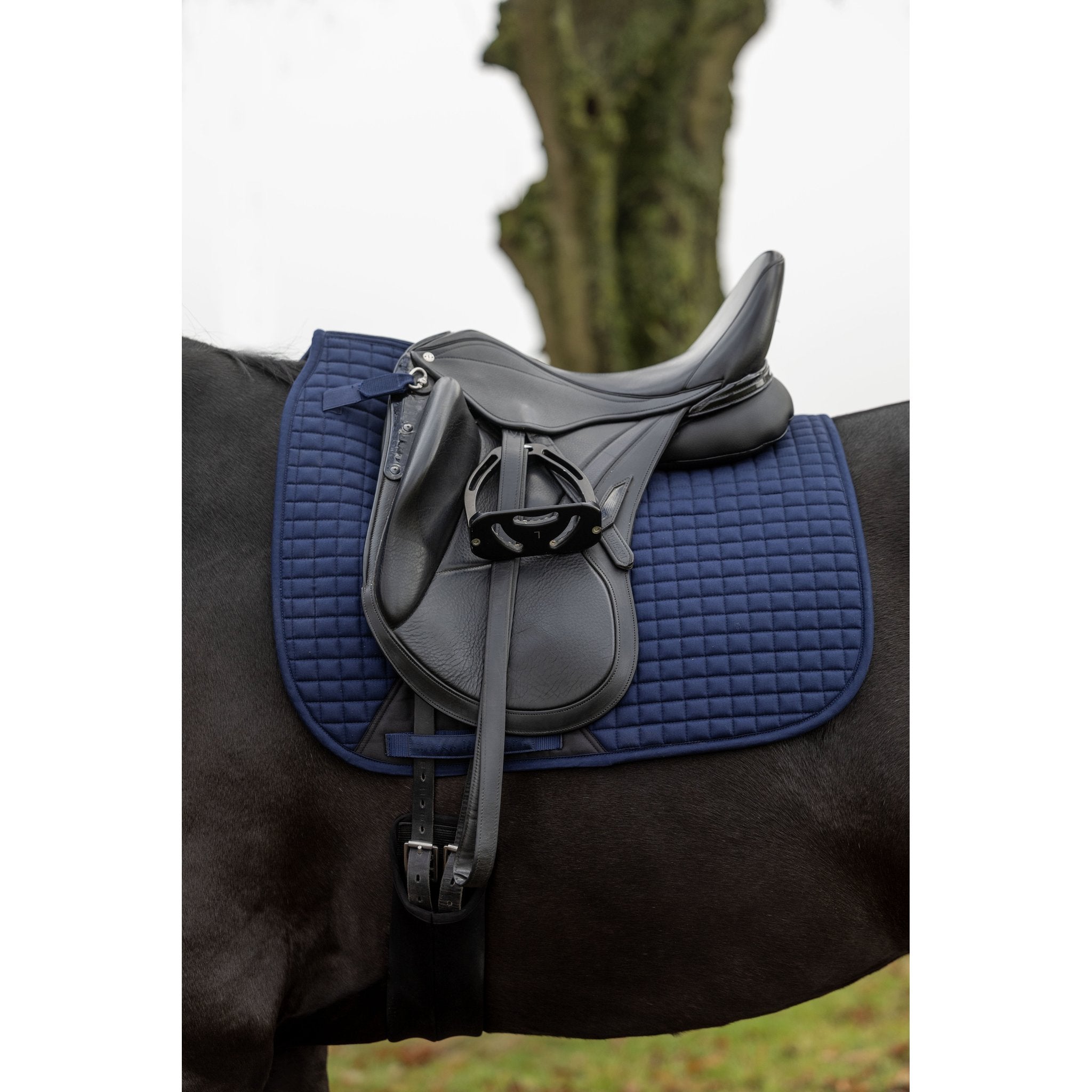Horse Guard Elmira schabrak, dressyr