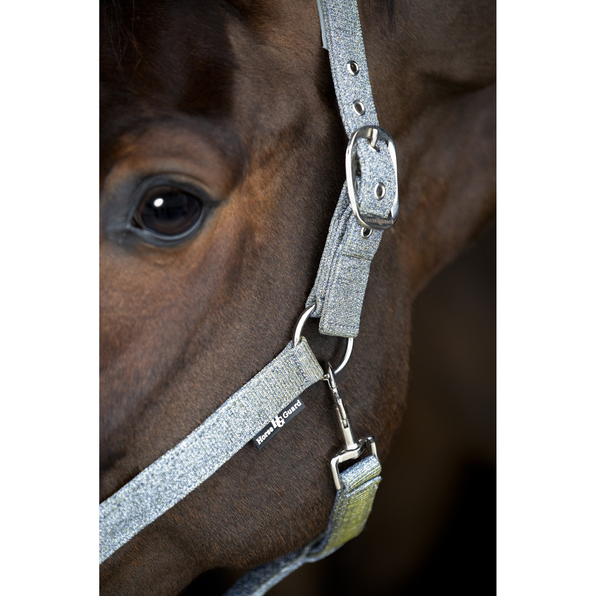 Horse Guard Iowa färgskiftande glittergrimma
