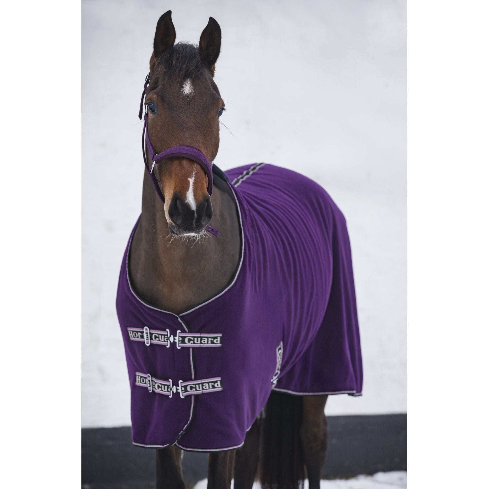 Horse Guard Layne fleece täcke m/teddy
